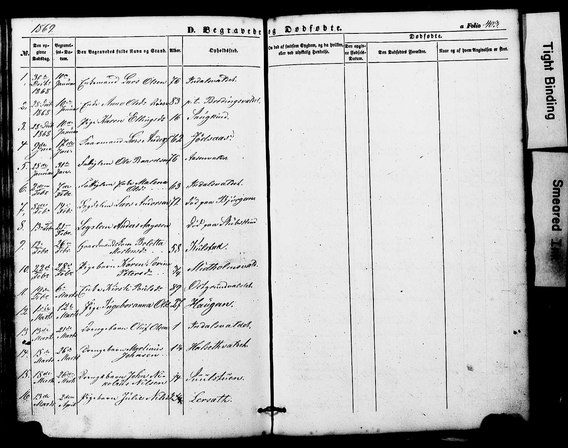 Ministerialprotokoller, klokkerbøker og fødselsregistre - Nord-Trøndelag, SAT/A-1458/724/L0268: Parish register (copy) no. 724C04, 1846-1878, p. 403