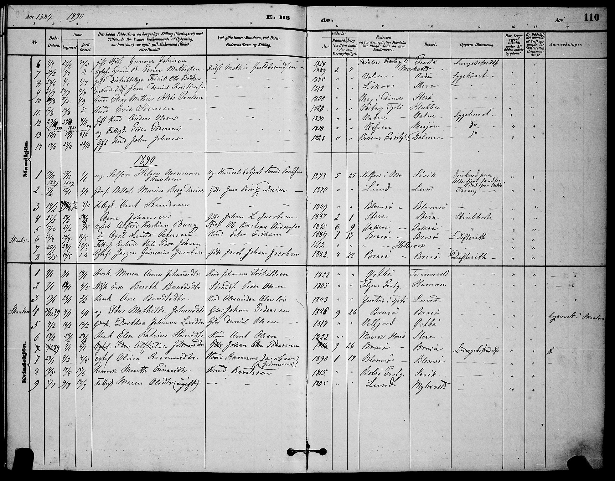 Ministerialprotokoller, klokkerbøker og fødselsregistre - Nordland, AV/SAT-A-1459/830/L0462: Parish register (copy) no. 830C04, 1882-1895, p. 110