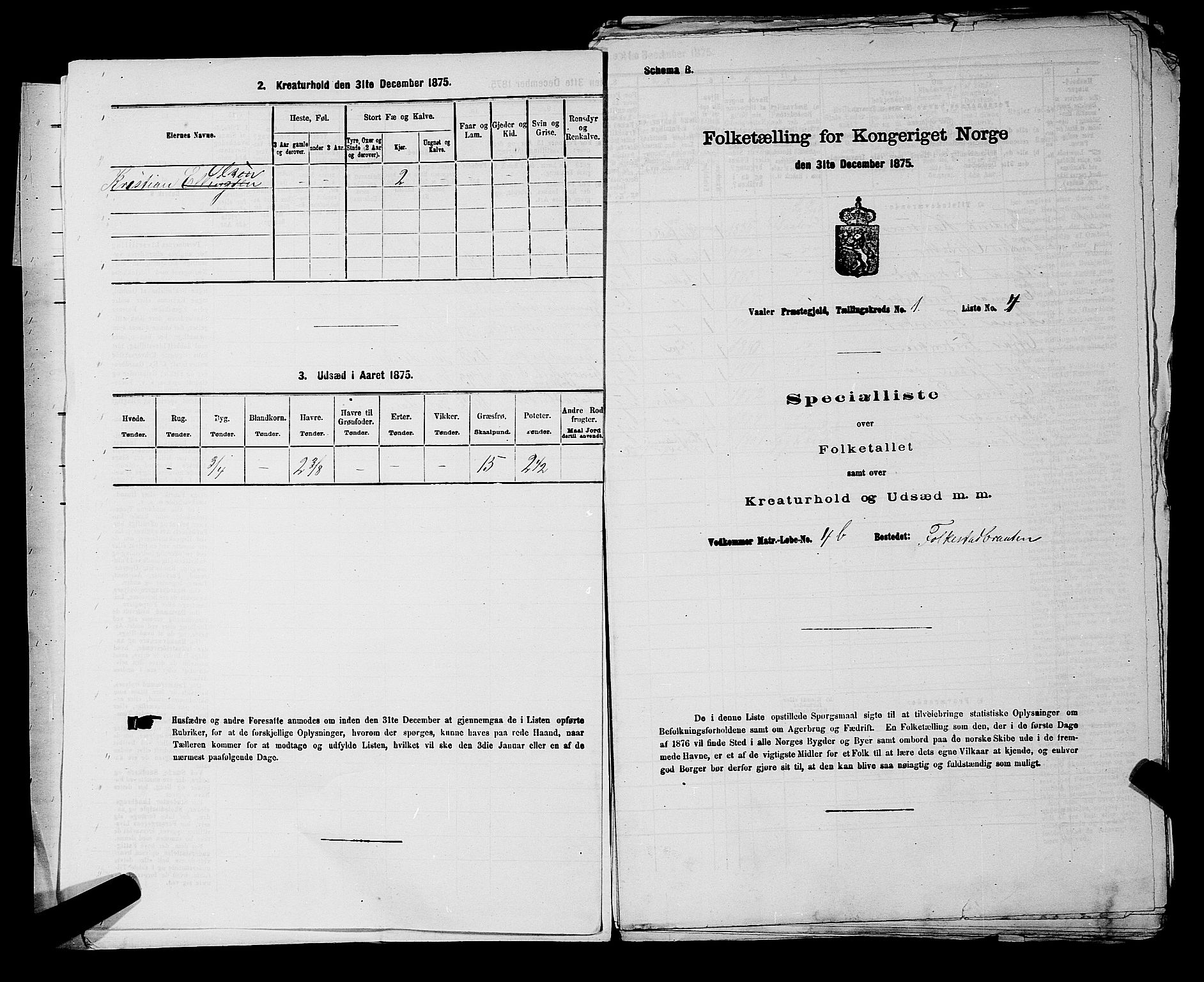 RA, 1875 census for 0137P Våler, 1875, p. 37