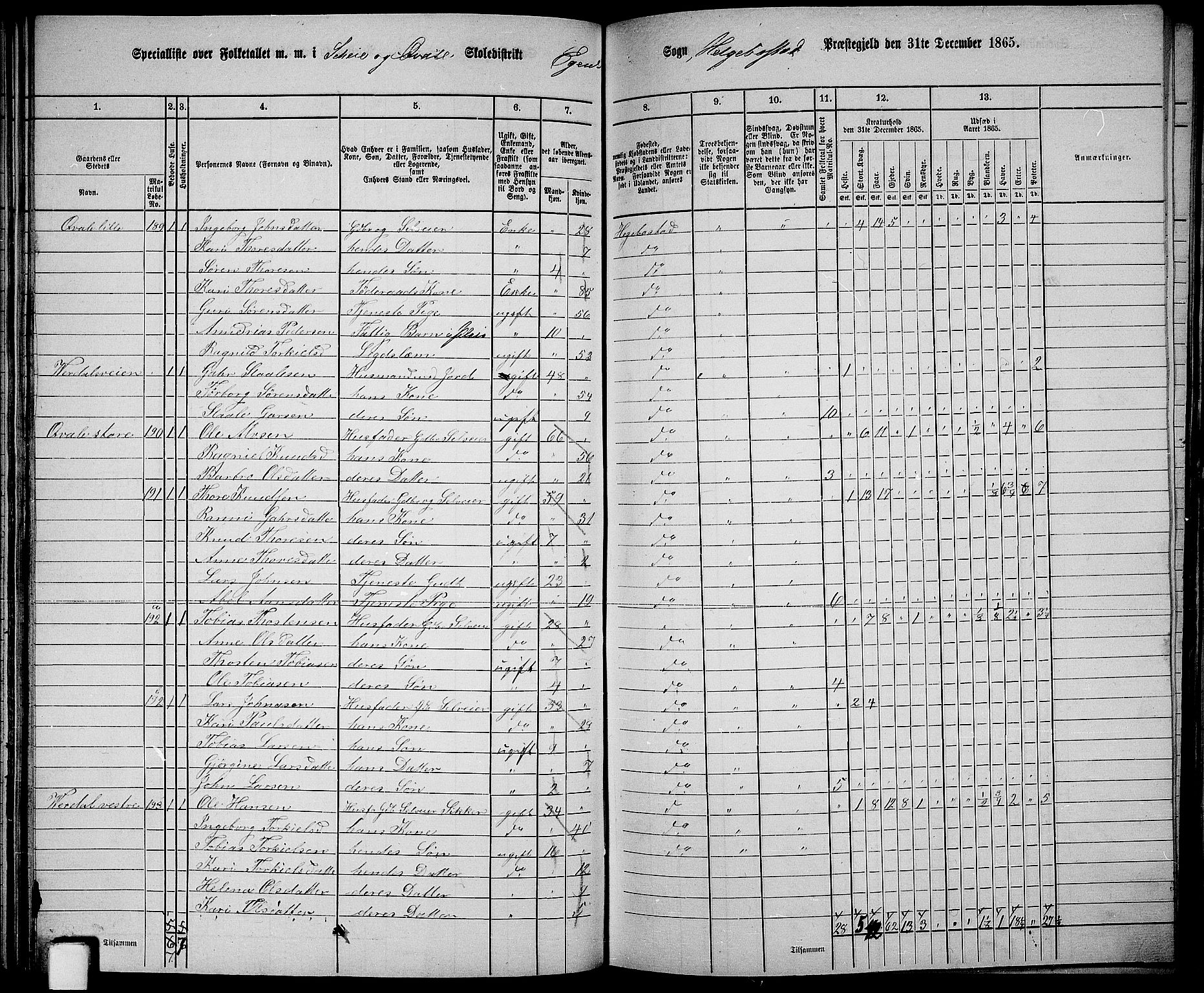 RA, 1865 census for Hægebostad, 1865, p. 65