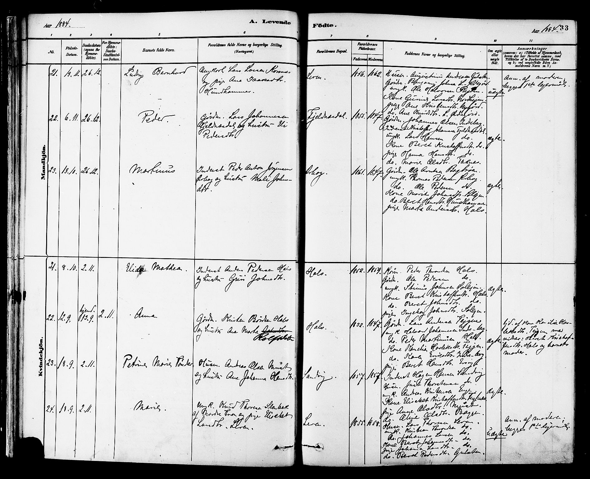 Ministerialprotokoller, klokkerbøker og fødselsregistre - Møre og Romsdal, AV/SAT-A-1454/577/L0896: Parish register (official) no. 577A03, 1880-1898, p. 33