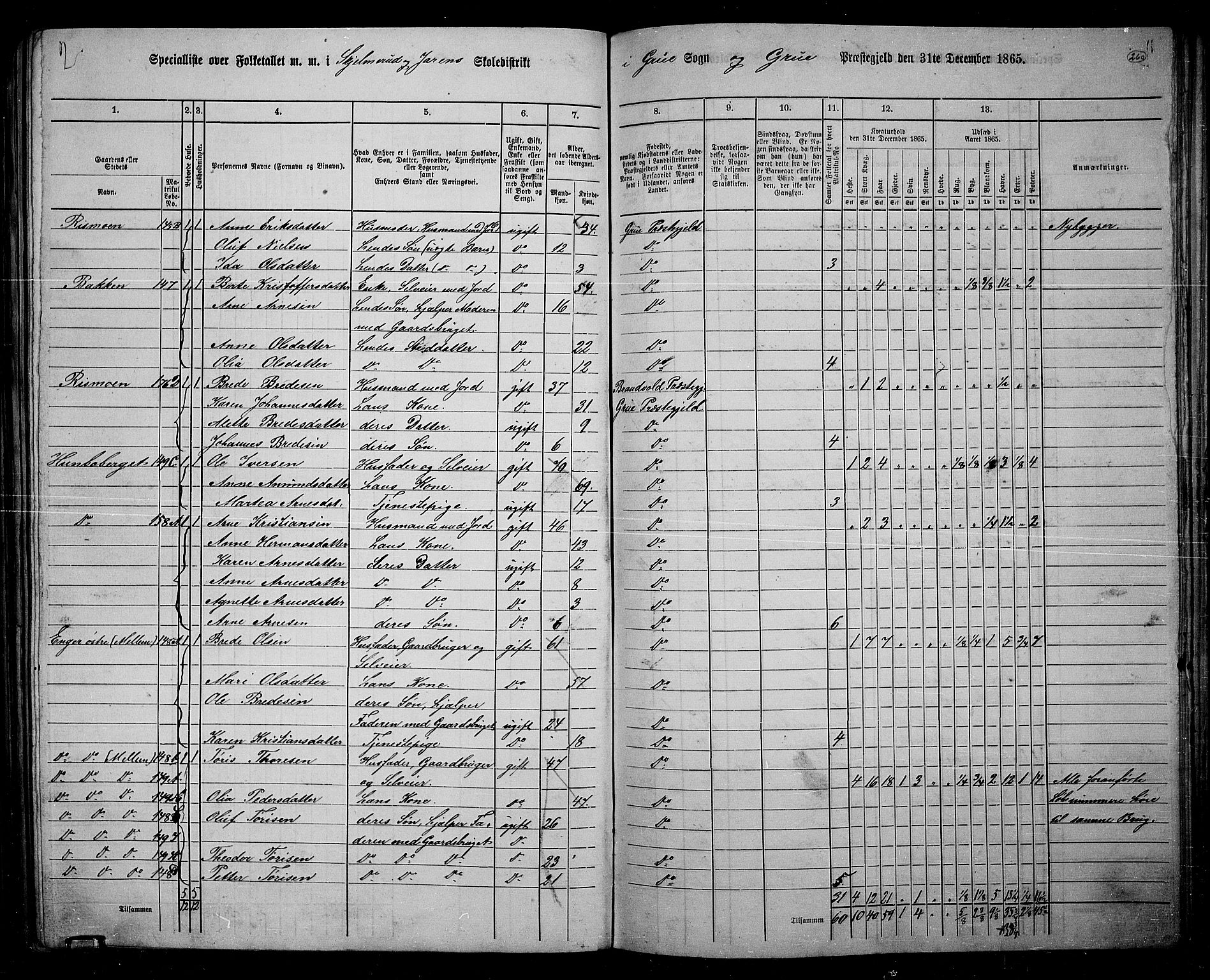 RA, 1865 census for Grue, 1865, p. 229