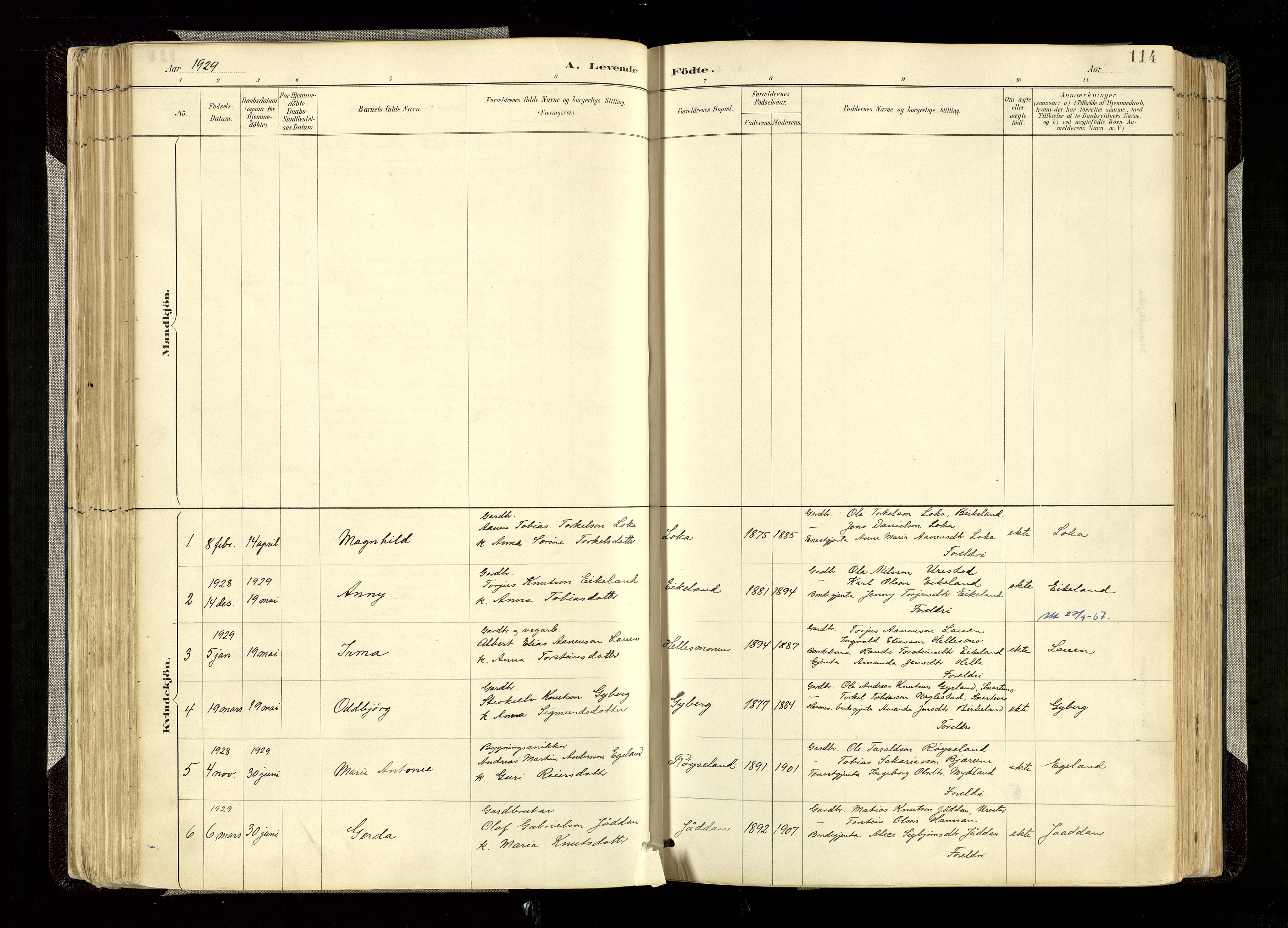 Hægebostad sokneprestkontor, AV/SAK-1111-0024/F/Fa/Faa/L0006: Parish register (official) no. A 6, 1887-1929, p. 114