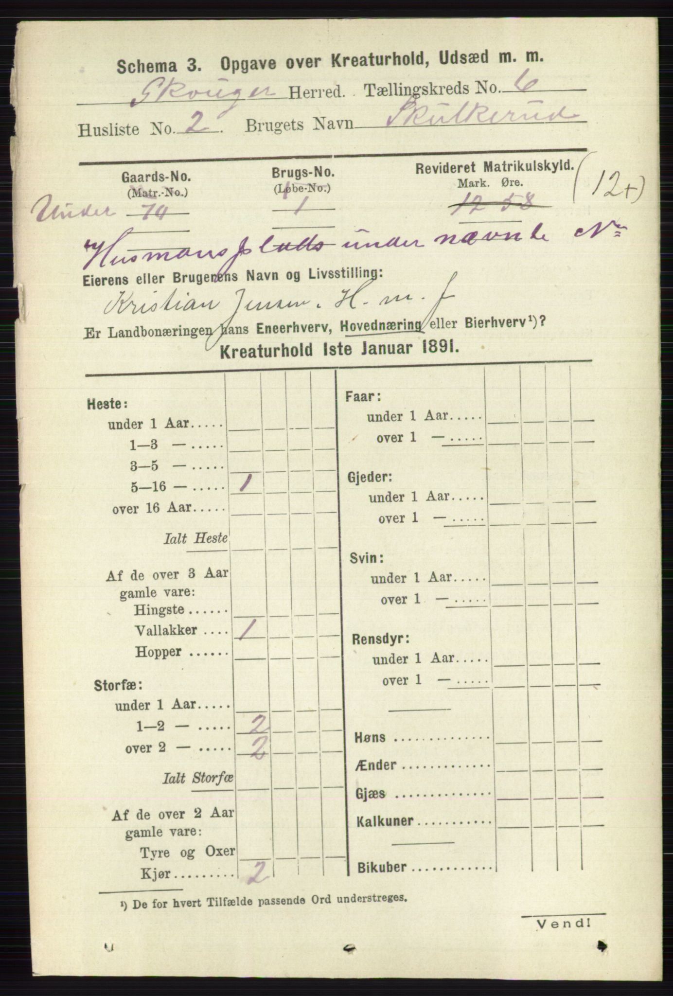 RA, 1891 census for 0712 Skoger, 1891, p. 5191