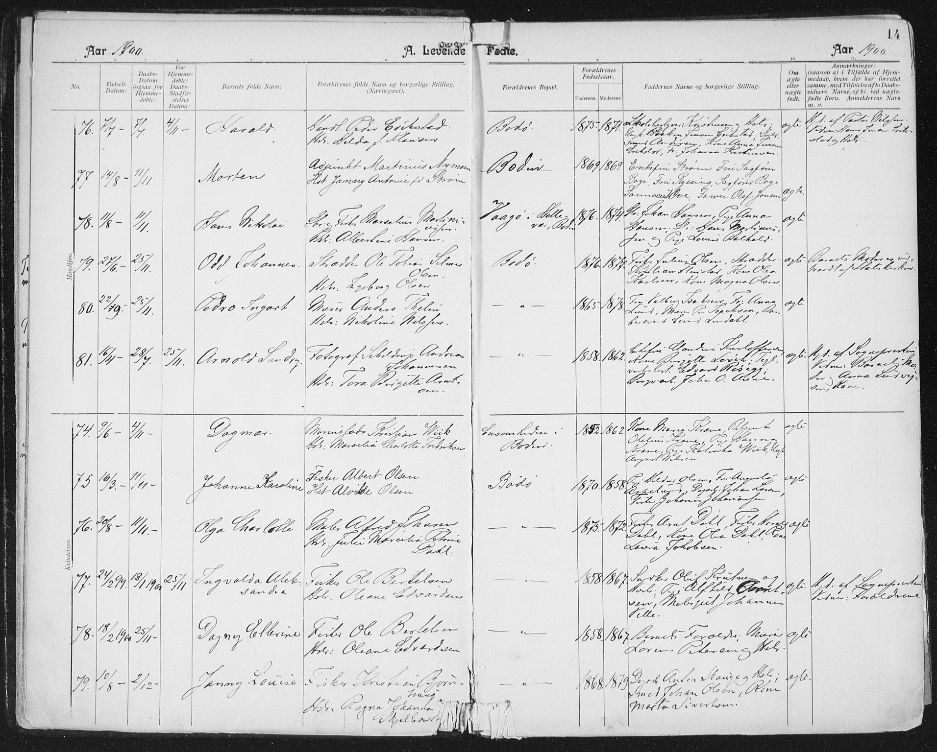 Ministerialprotokoller, klokkerbøker og fødselsregistre - Nordland, AV/SAT-A-1459/801/L0011: Parish register (official) no. 801A11, 1900-1916, p. 14