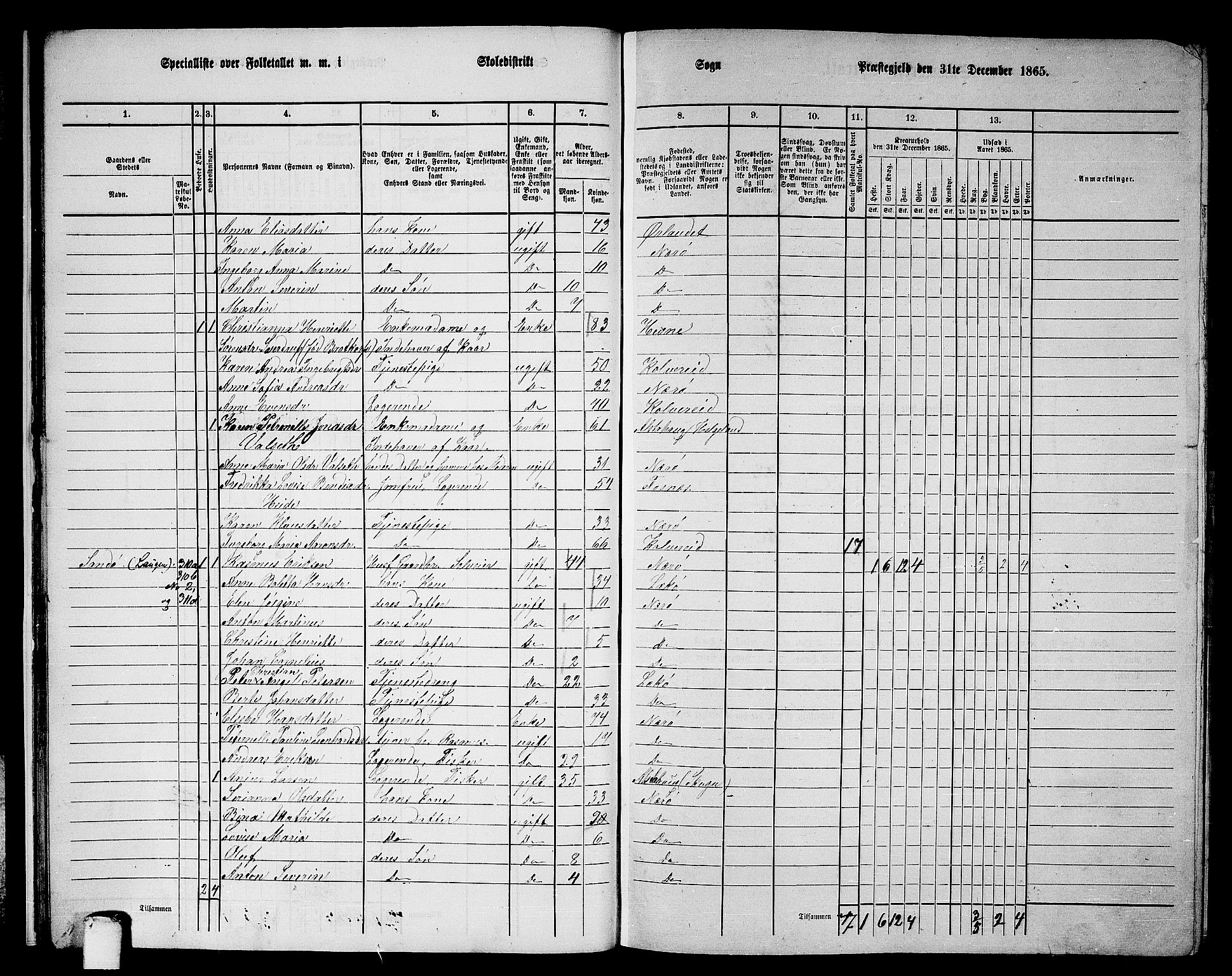 RA, 1865 census for Nærøy, 1865, p. 21