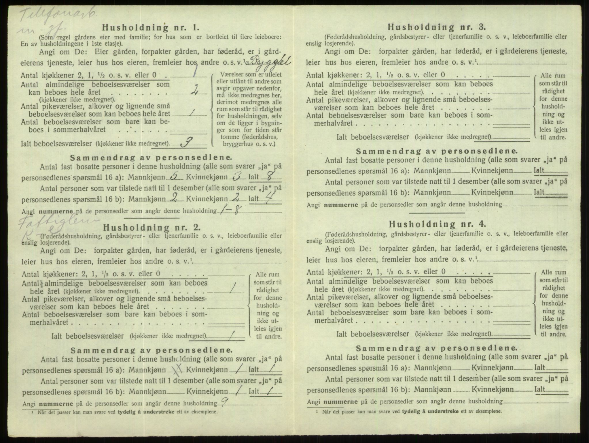 SAB, 1920 census for Hornindal, 1920, p. 496