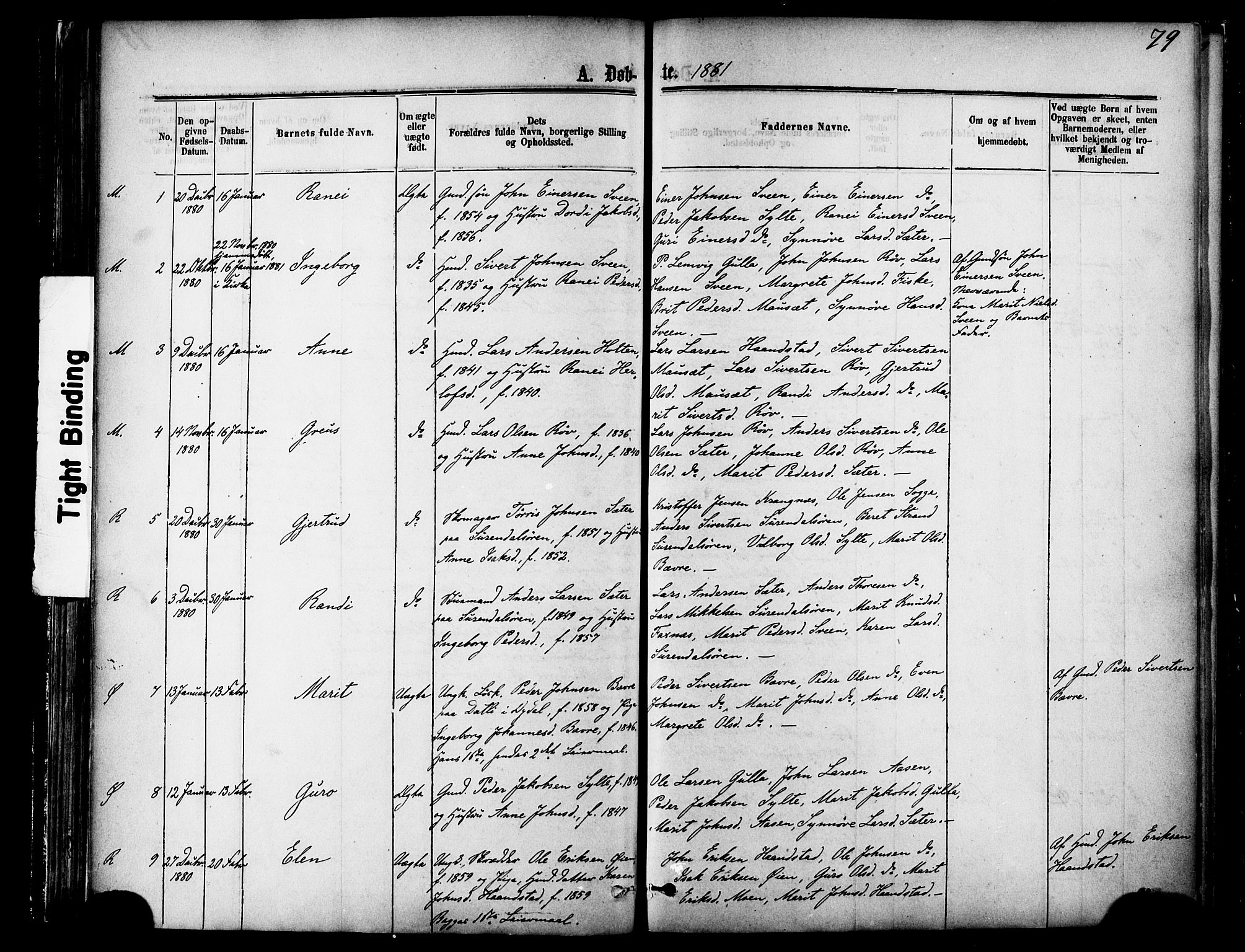 Ministerialprotokoller, klokkerbøker og fødselsregistre - Møre og Romsdal, AV/SAT-A-1454/595/L1046: Parish register (official) no. 595A08, 1874-1884, p. 79