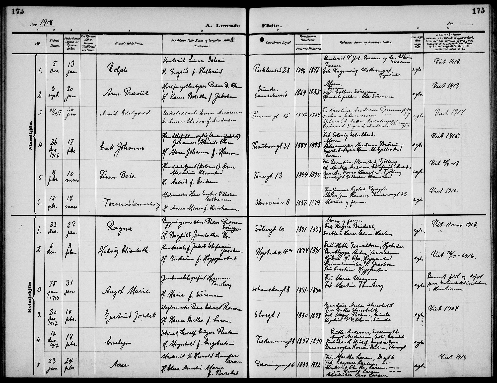 Sandefjord kirkebøker, AV/SAKO-A-315/G/Ga/L0003: Parish register (copy) no. 3, 1903-1920, p. 175