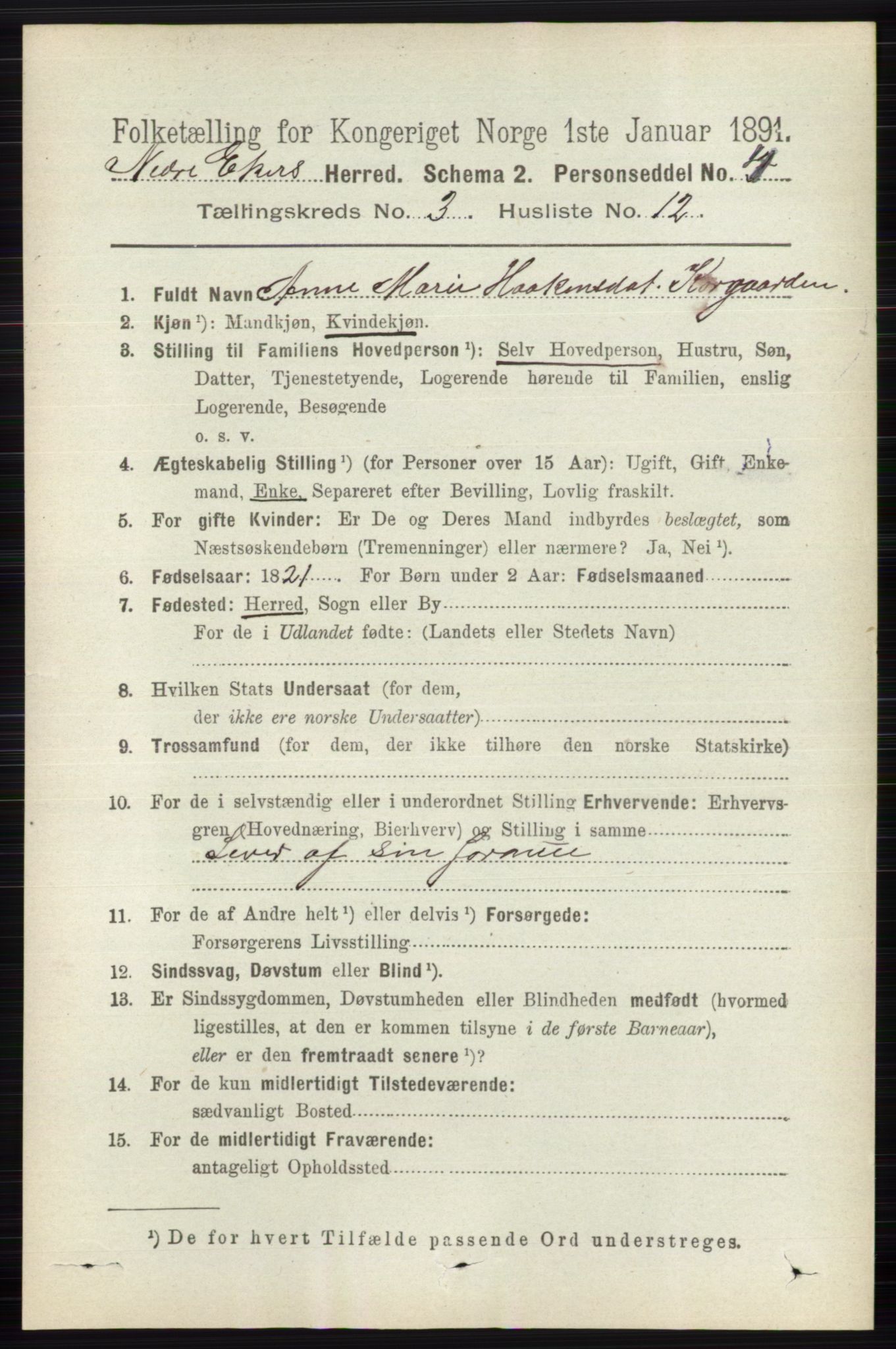 RA, 1891 census for 0625 Nedre Eiker, 1891, p. 1251
