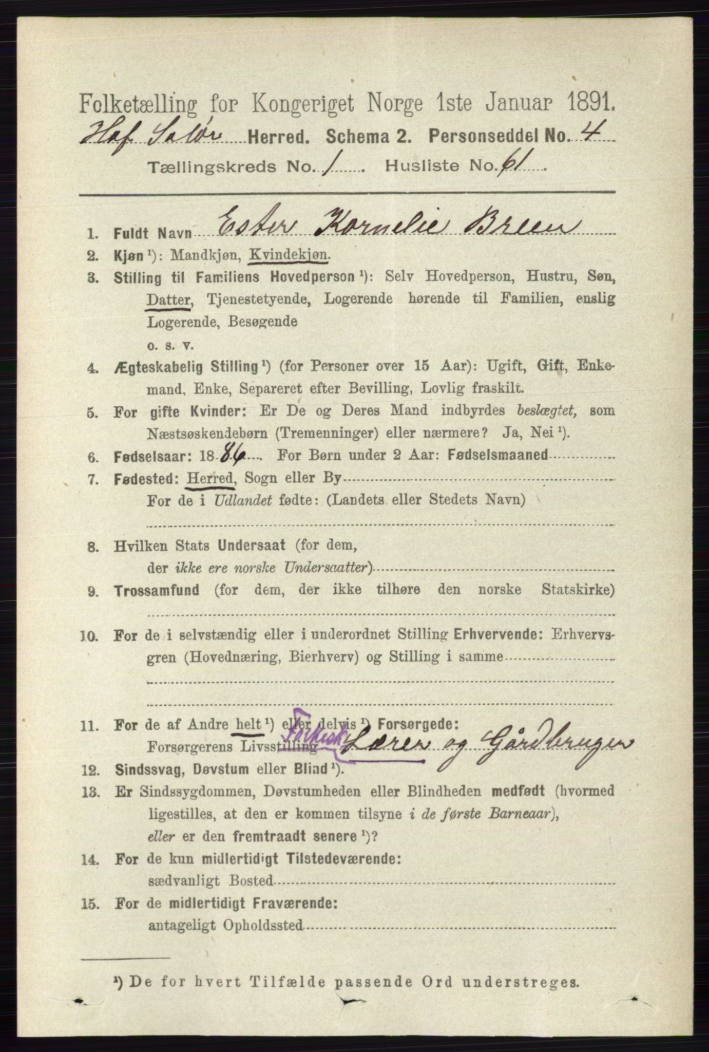 RA, 1891 census for 0424 Hof, 1891, p. 401