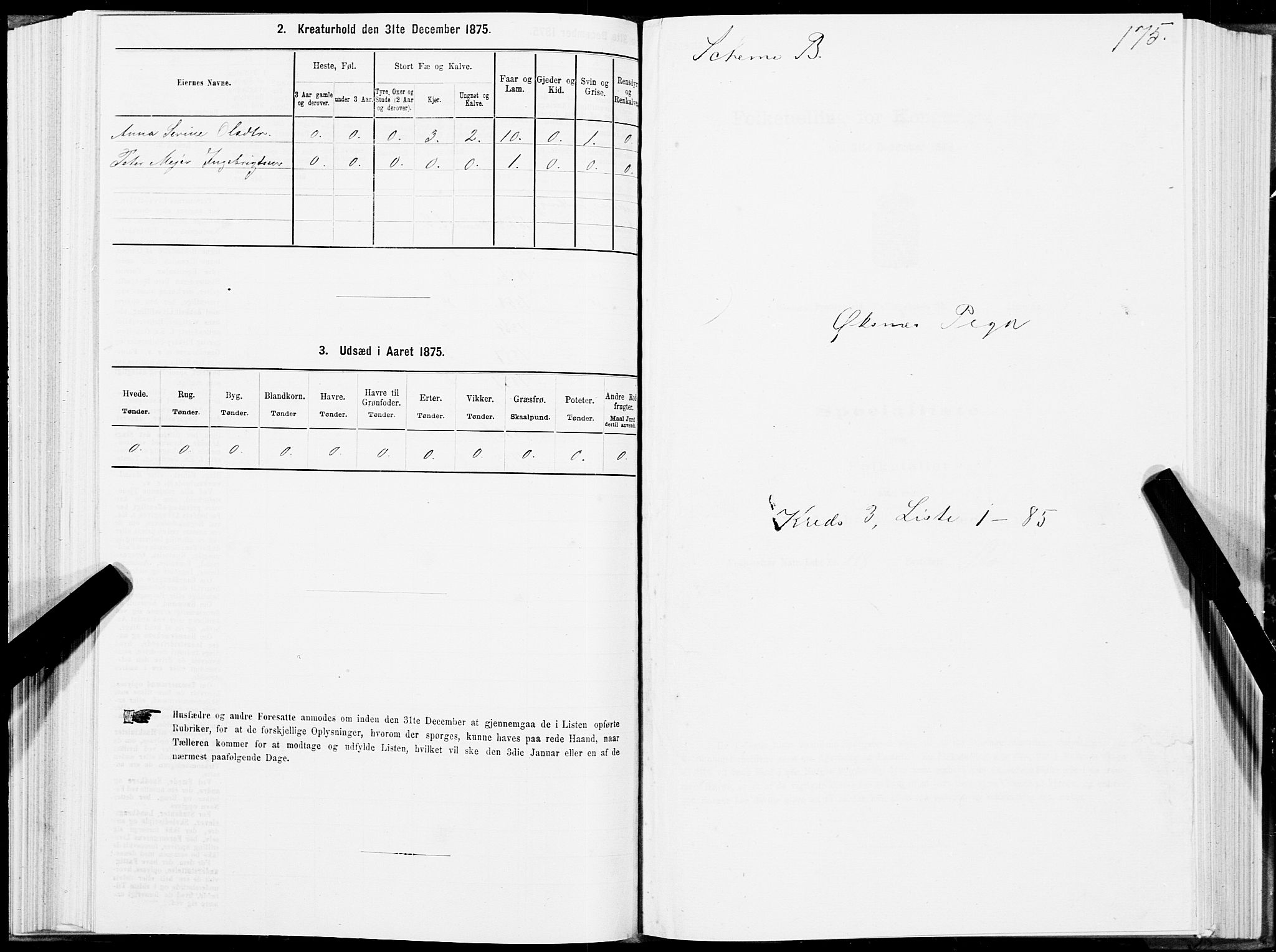 SAT, 1875 census for 1868P Øksnes, 1875, p. 2175