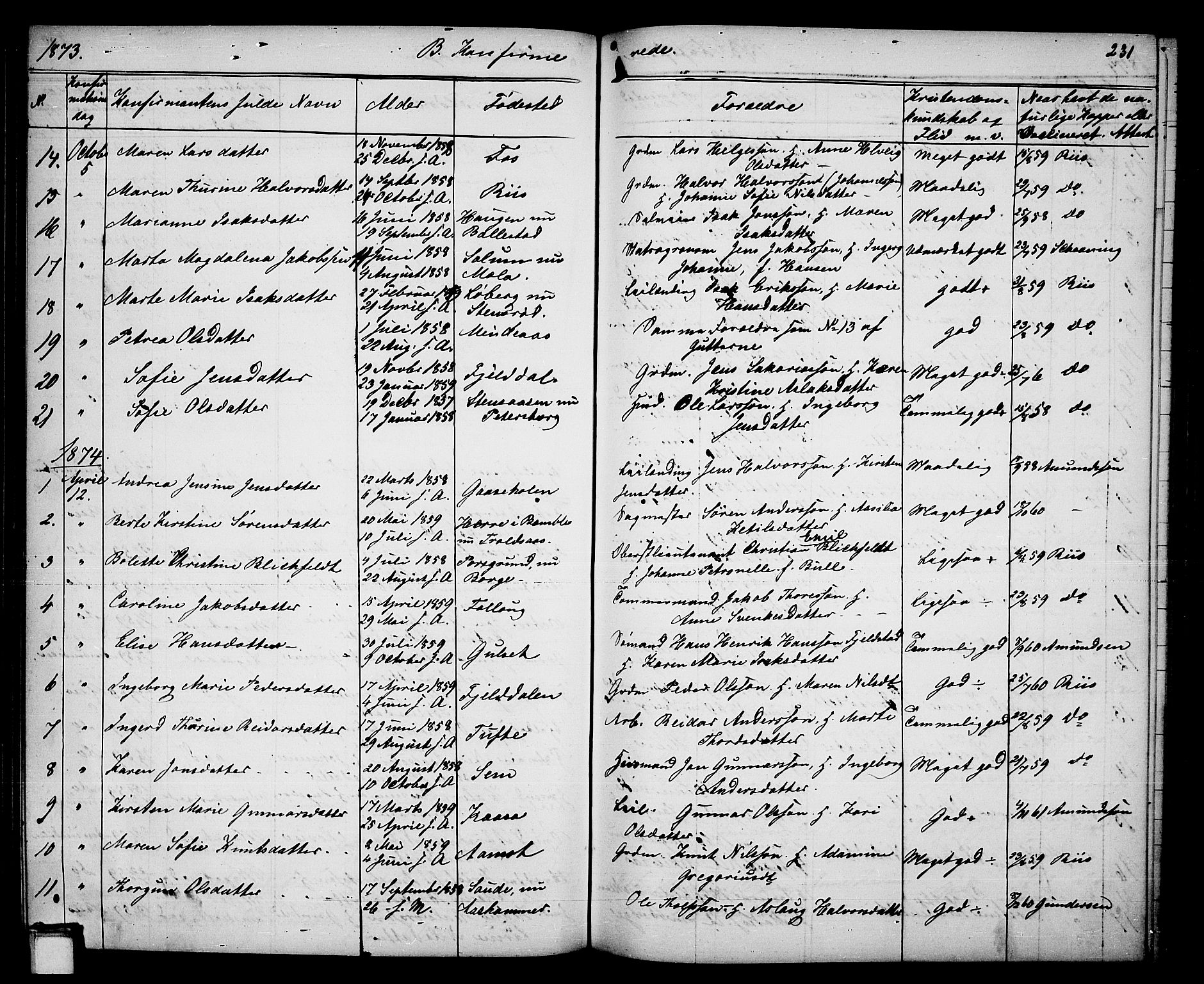 Gjerpen kirkebøker, SAKO/A-265/G/Ga/L0001: Parish register (copy) no. I 1, 1864-1882, p. 231