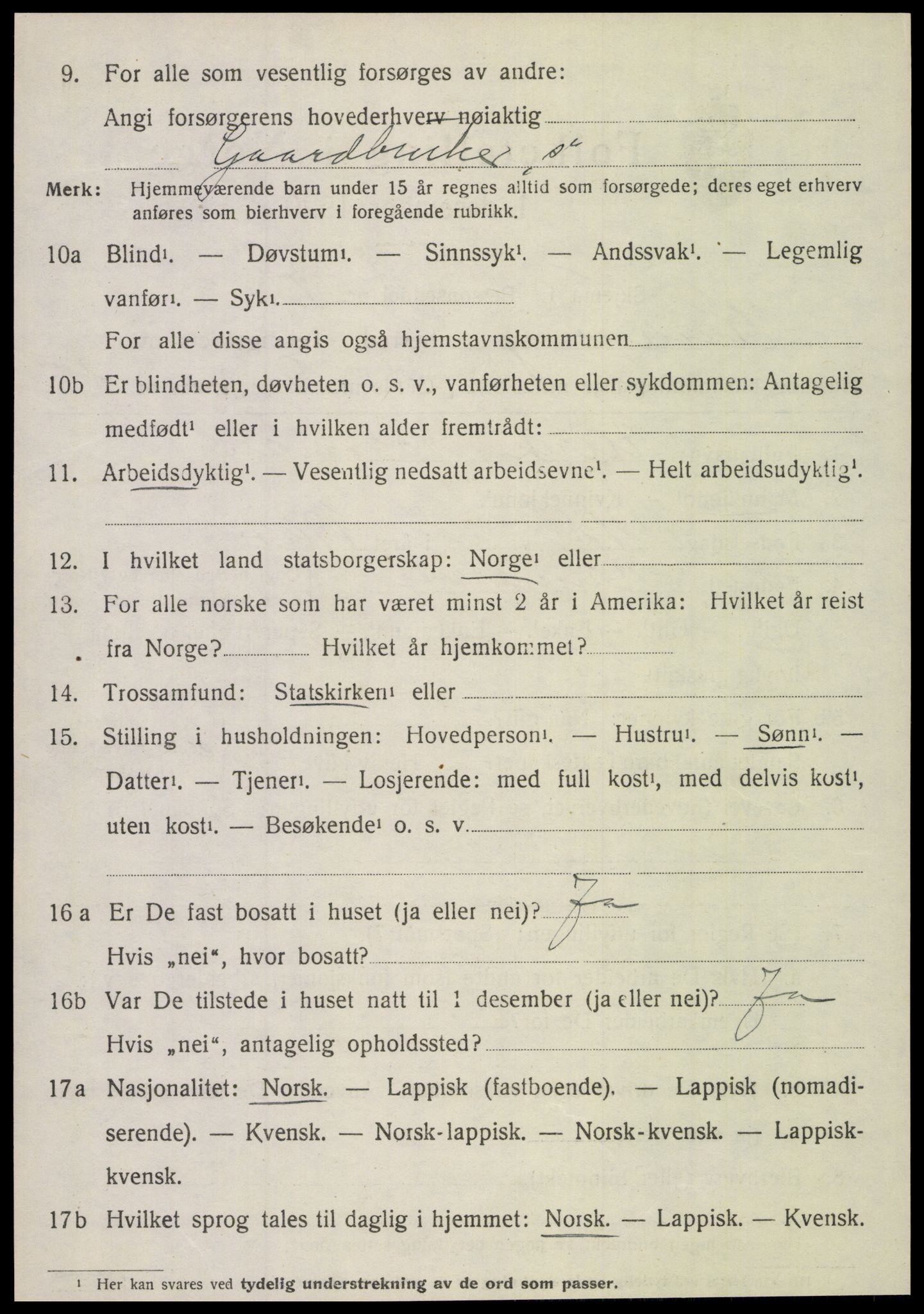 SAT, 1920 census for Hamarøy, 1920, p. 1825