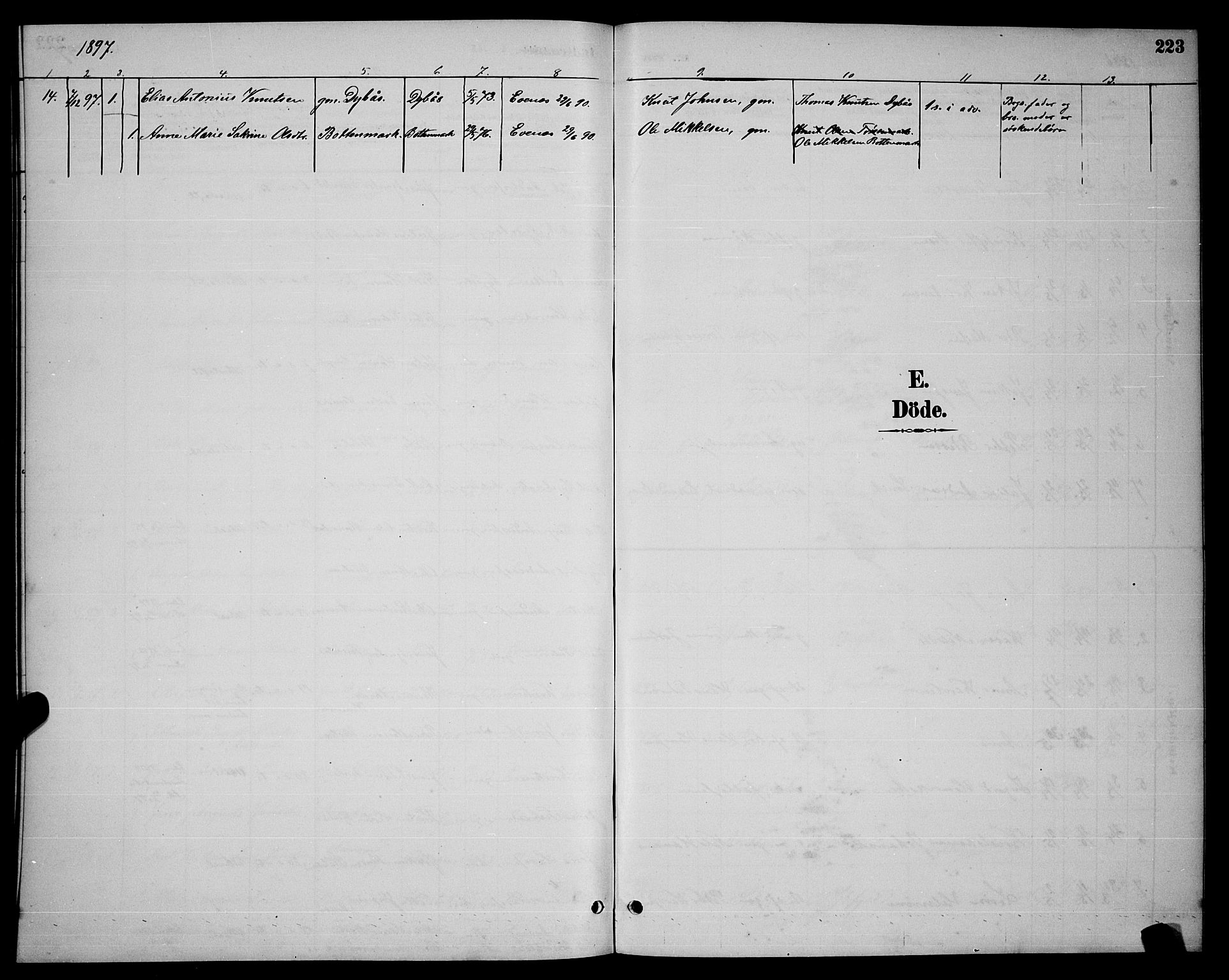 Ministerialprotokoller, klokkerbøker og fødselsregistre - Nordland, SAT/A-1459/863/L0914: Parish register (copy) no. 863C04, 1886-1897, p. 223