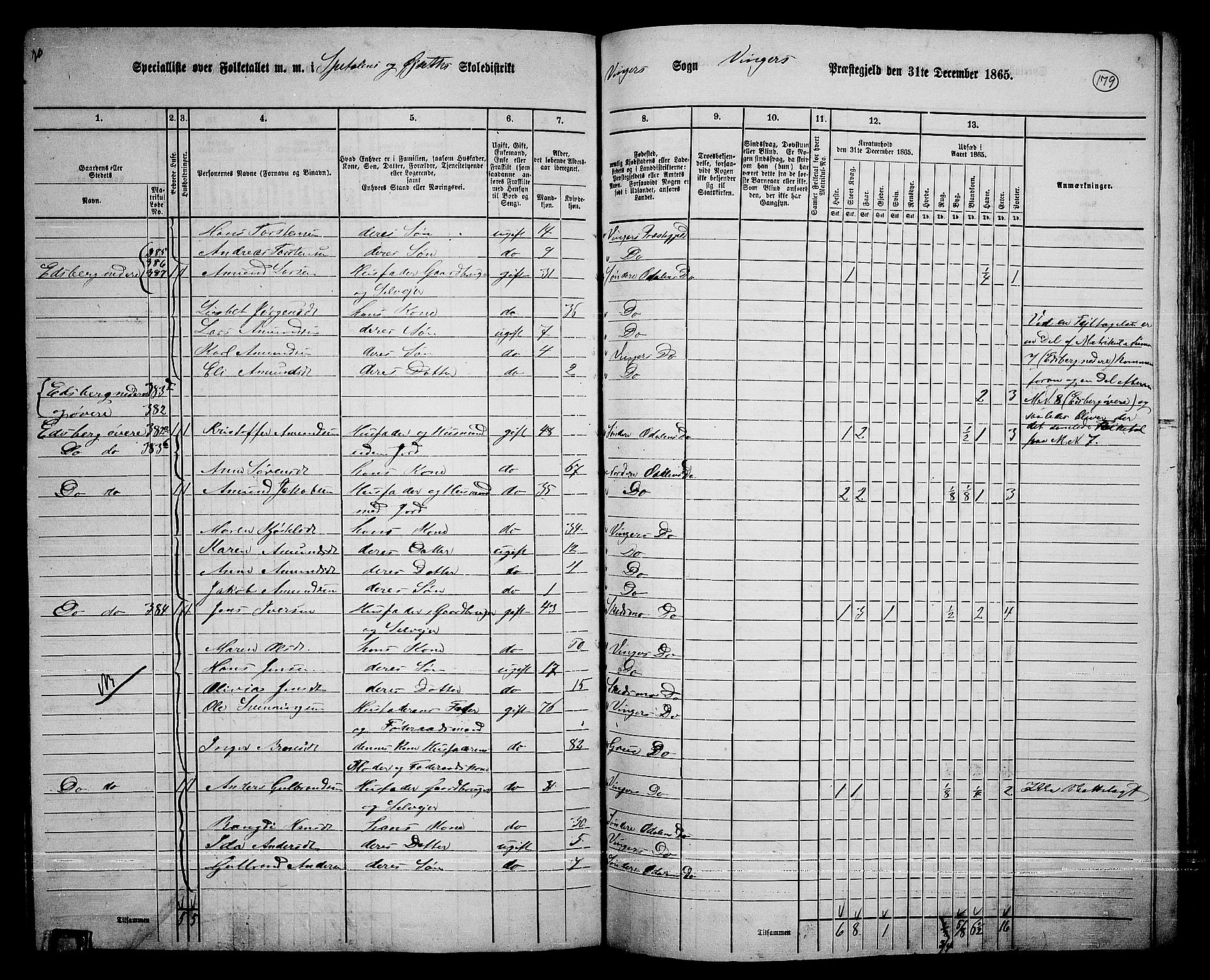 RA, 1865 census for Vinger/Vinger og Austmarka, 1865, p. 164