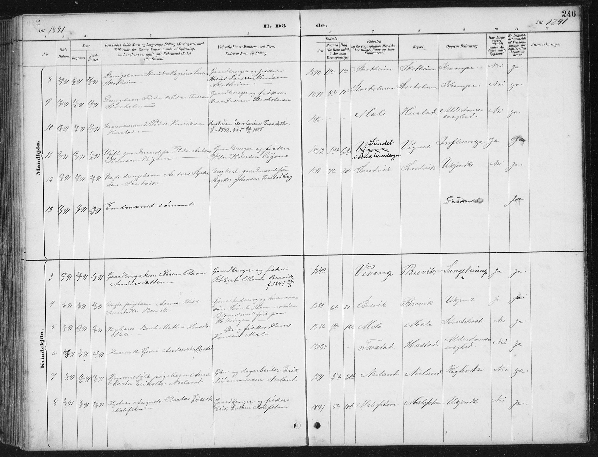 Ministerialprotokoller, klokkerbøker og fødselsregistre - Møre og Romsdal, AV/SAT-A-1454/567/L0783: Parish register (copy) no. 567C03, 1887-1903, p. 246