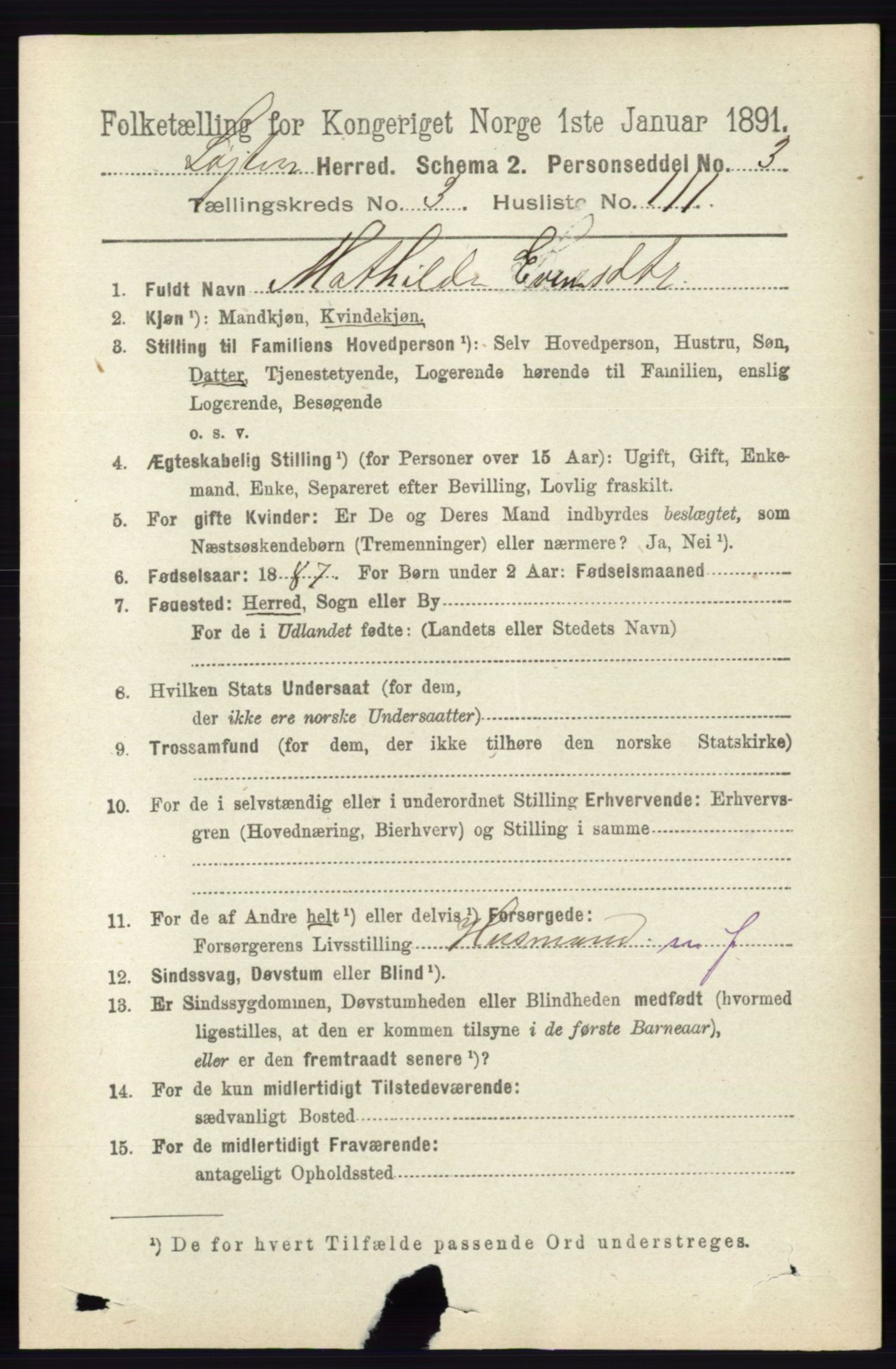 RA, 1891 census for 0415 Løten, 1891, p. 2665