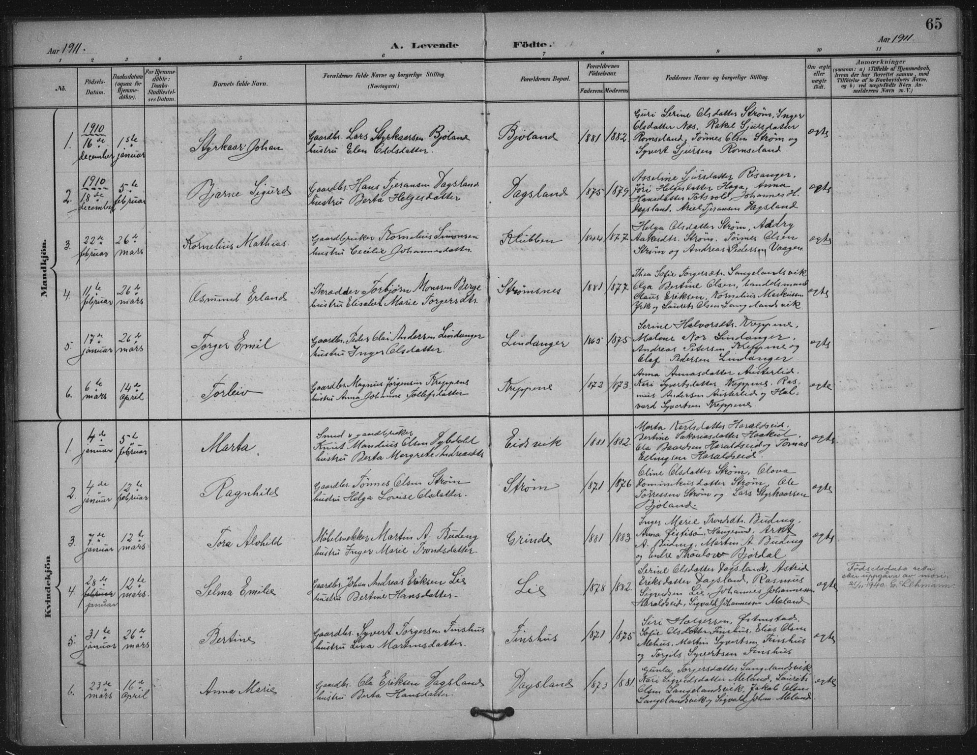 Skjold sokneprestkontor, AV/SAST-A-101847/H/Ha/Haa/L0011: Parish register (official) no. A 11, 1897-1914, p. 65