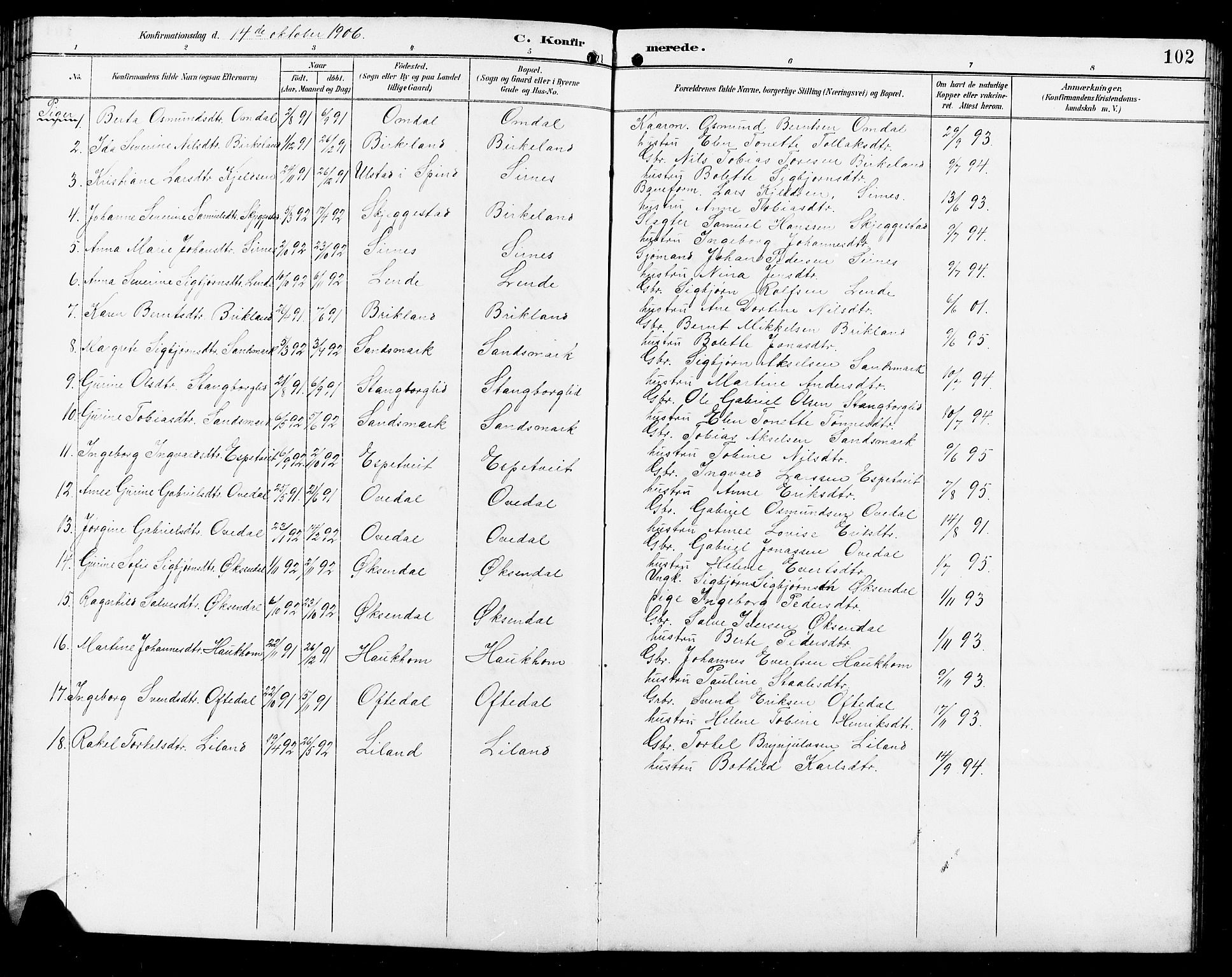 Bakke sokneprestkontor, AV/SAK-1111-0002/F/Fb/Fba/L0003: Parish register (copy) no. B 3, 1894-1910, p. 102