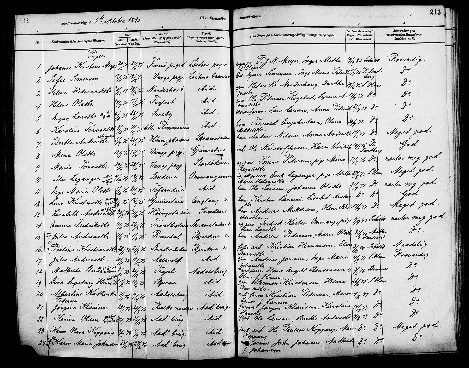 Løten prestekontor, AV/SAH-PREST-022/K/Ka/L0009: Parish register (official) no. 9, 1878-1891, p. 213