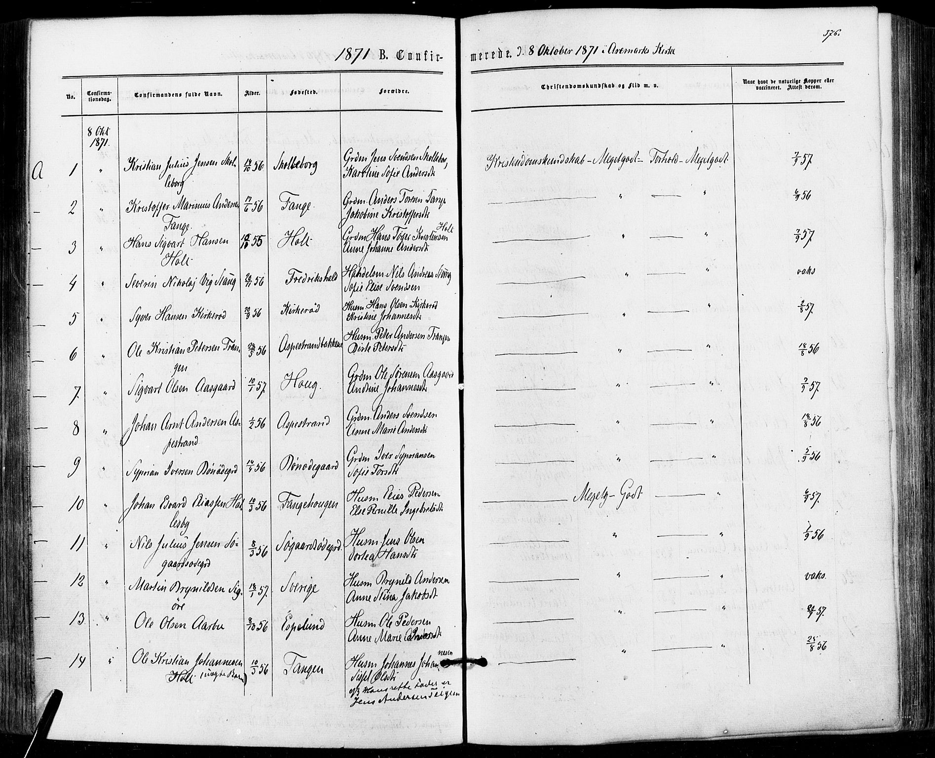 Aremark prestekontor Kirkebøker, SAO/A-10899/F/Fc/L0004: Parish register (official) no. III 4, 1866-1877, p. 375-376