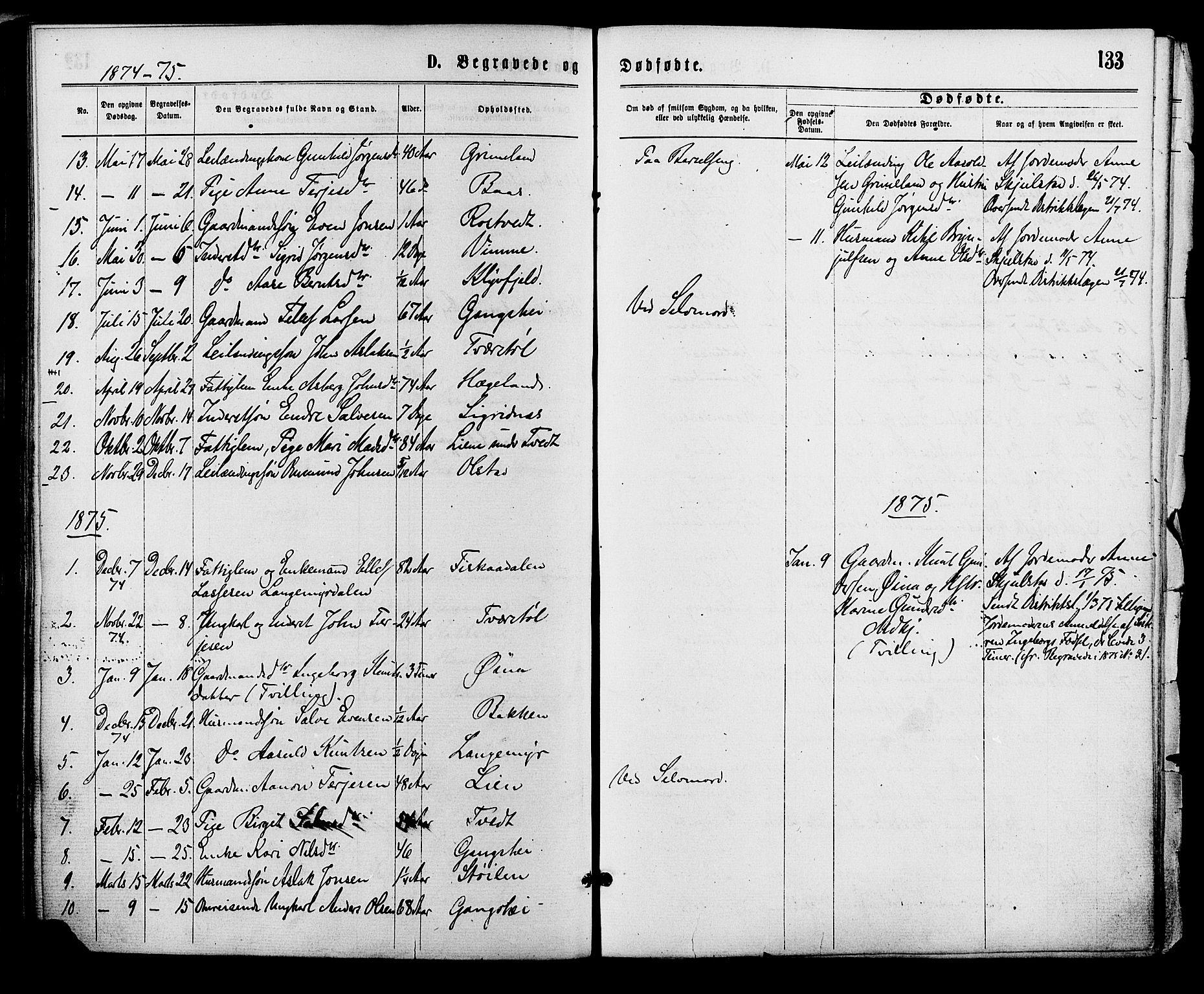 Åmli sokneprestkontor, SAK/1111-0050/F/Fa/Fac/L0009: Parish register (official) no. A 9 /1, 1869-1884, p. 133