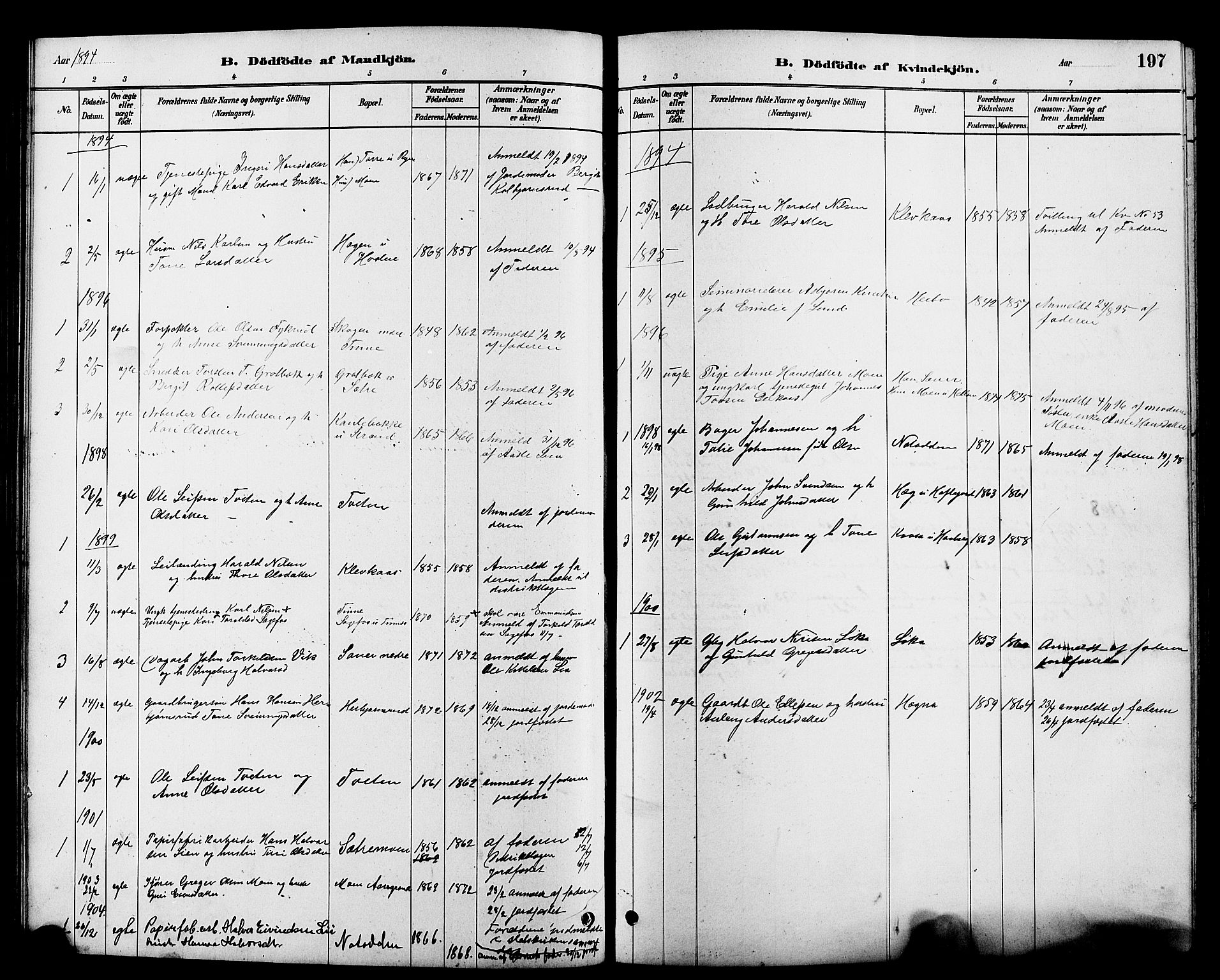 Heddal kirkebøker, AV/SAKO-A-268/G/Ga/L0002: Parish register (copy) no. I 2, 1879-1908, p. 197