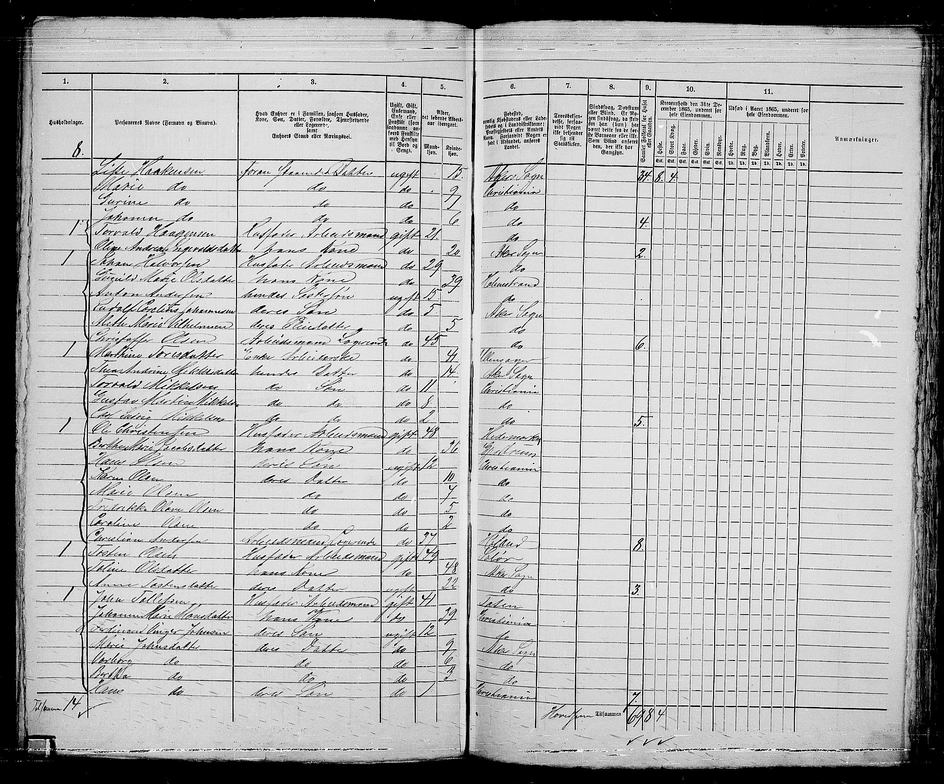 RA, 1865 census for Kristiania, 1865, p. 5219