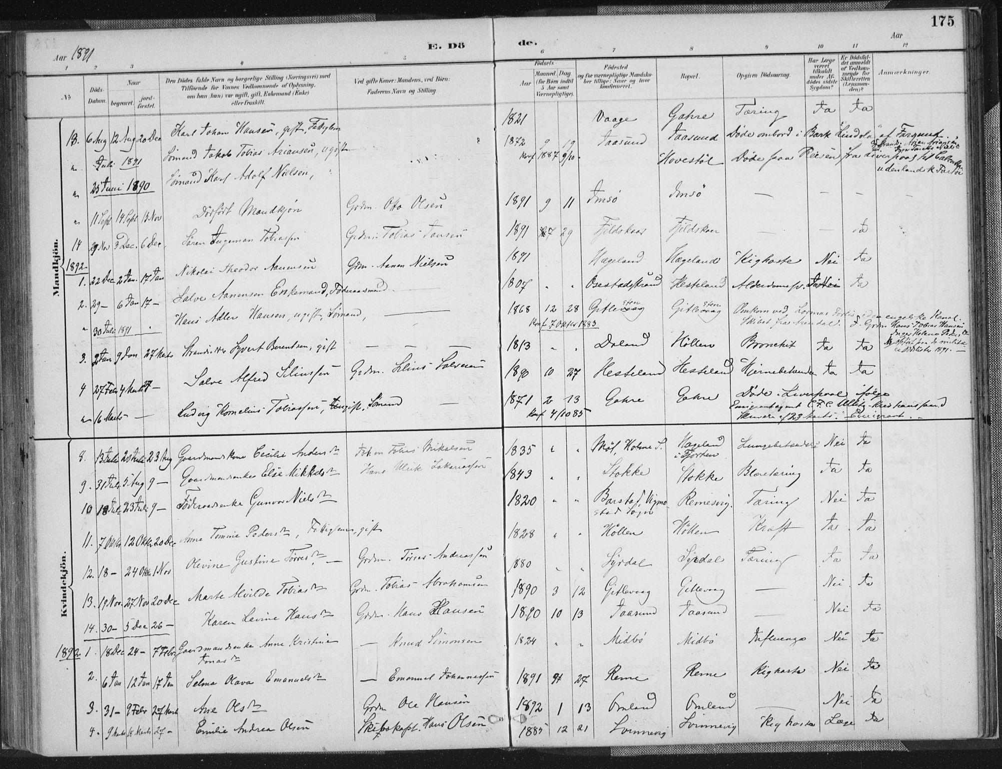 Sør-Audnedal sokneprestkontor, SAK/1111-0039/F/Fa/Faa/L0004: Parish register (official) no. A 4, 1884-1909, p. 175