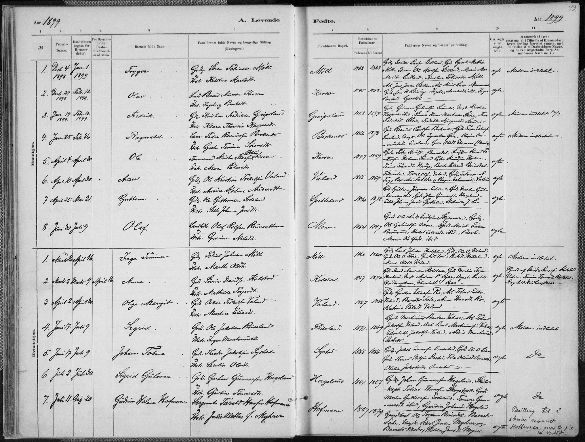 Holum sokneprestkontor, SAK/1111-0022/F/Fa/Faa/L0007: Parish register (official) no. A 7, 1884-1907, p. 43