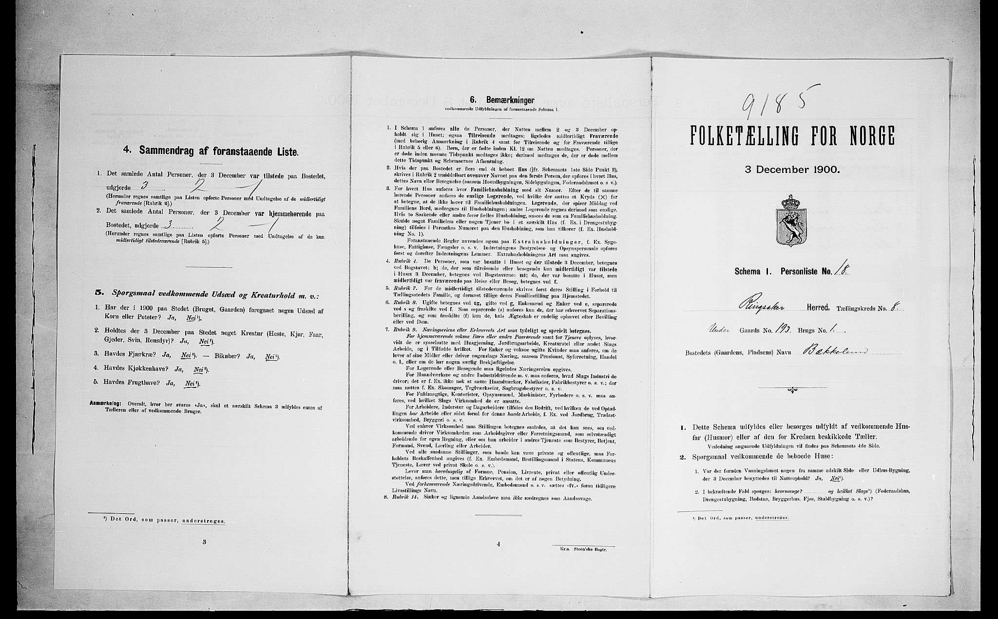 SAH, 1900 census for Ringsaker, 1900, p. 1570