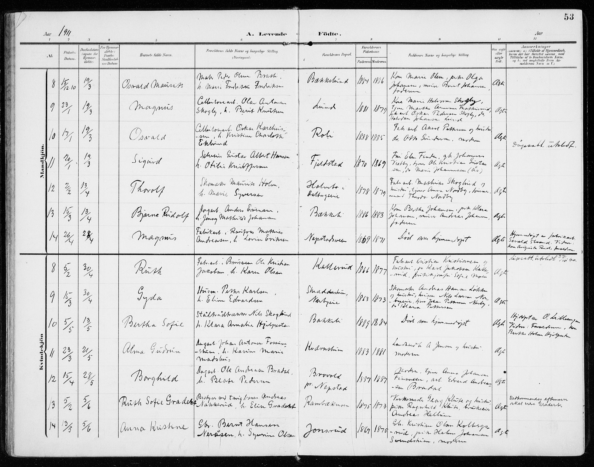 Vardal prestekontor, SAH/PREST-100/H/Ha/Haa/L0016: Parish register (official) no. 16, 1904-1916, p. 53