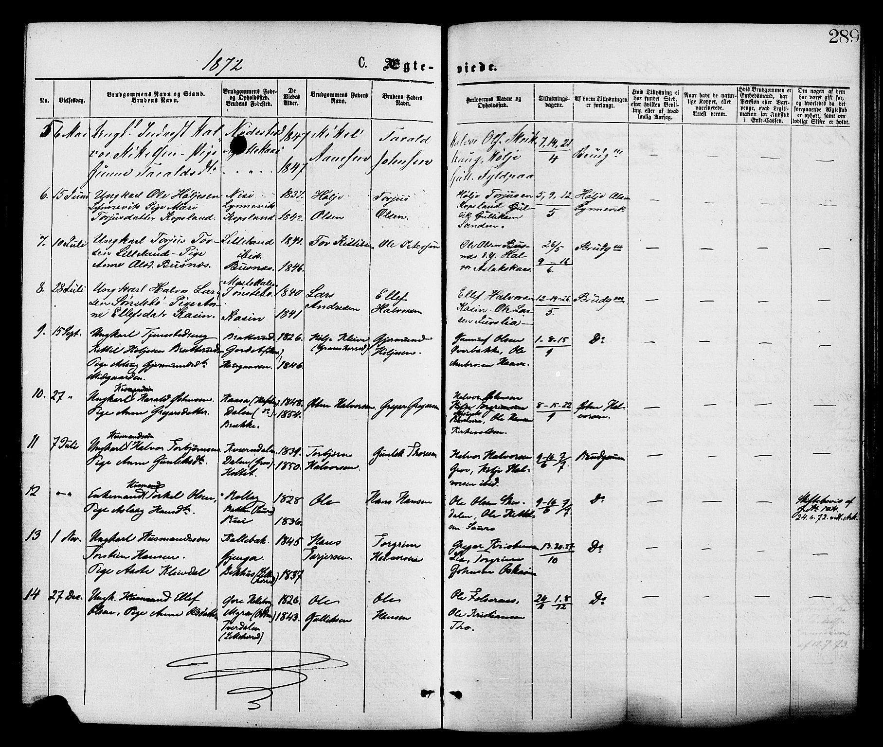 Gransherad kirkebøker, SAKO/A-267/F/Fa/L0004: Parish register (official) no. I 4, 1871-1886, p. 289