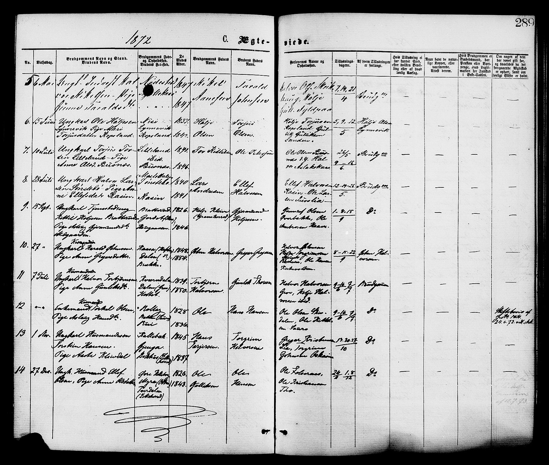 Gransherad kirkebøker, AV/SAKO-A-267/F/Fa/L0004: Parish register (official) no. I 4, 1871-1886, p. 289