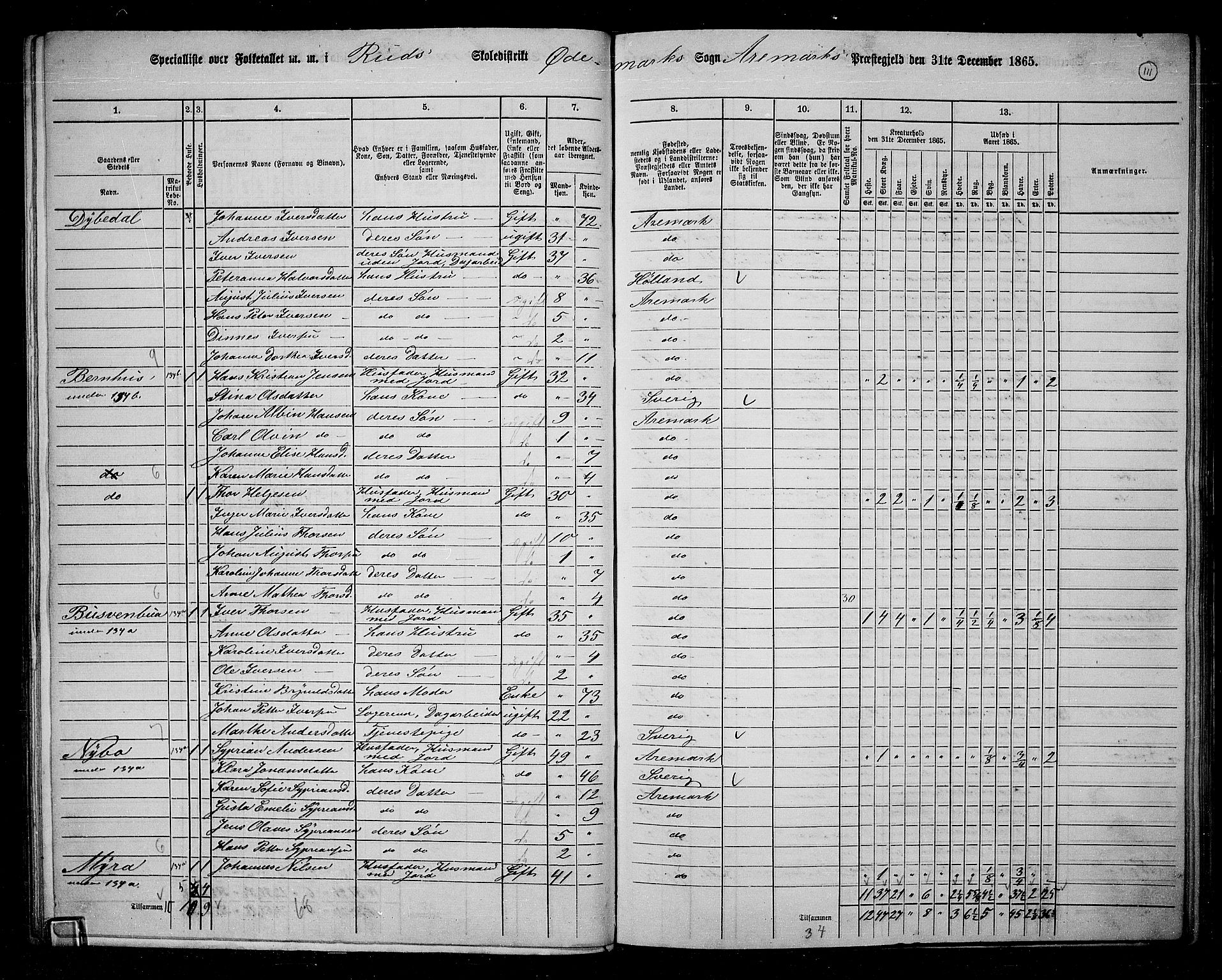 RA, 1865 census for Aremark, 1865, p. 99