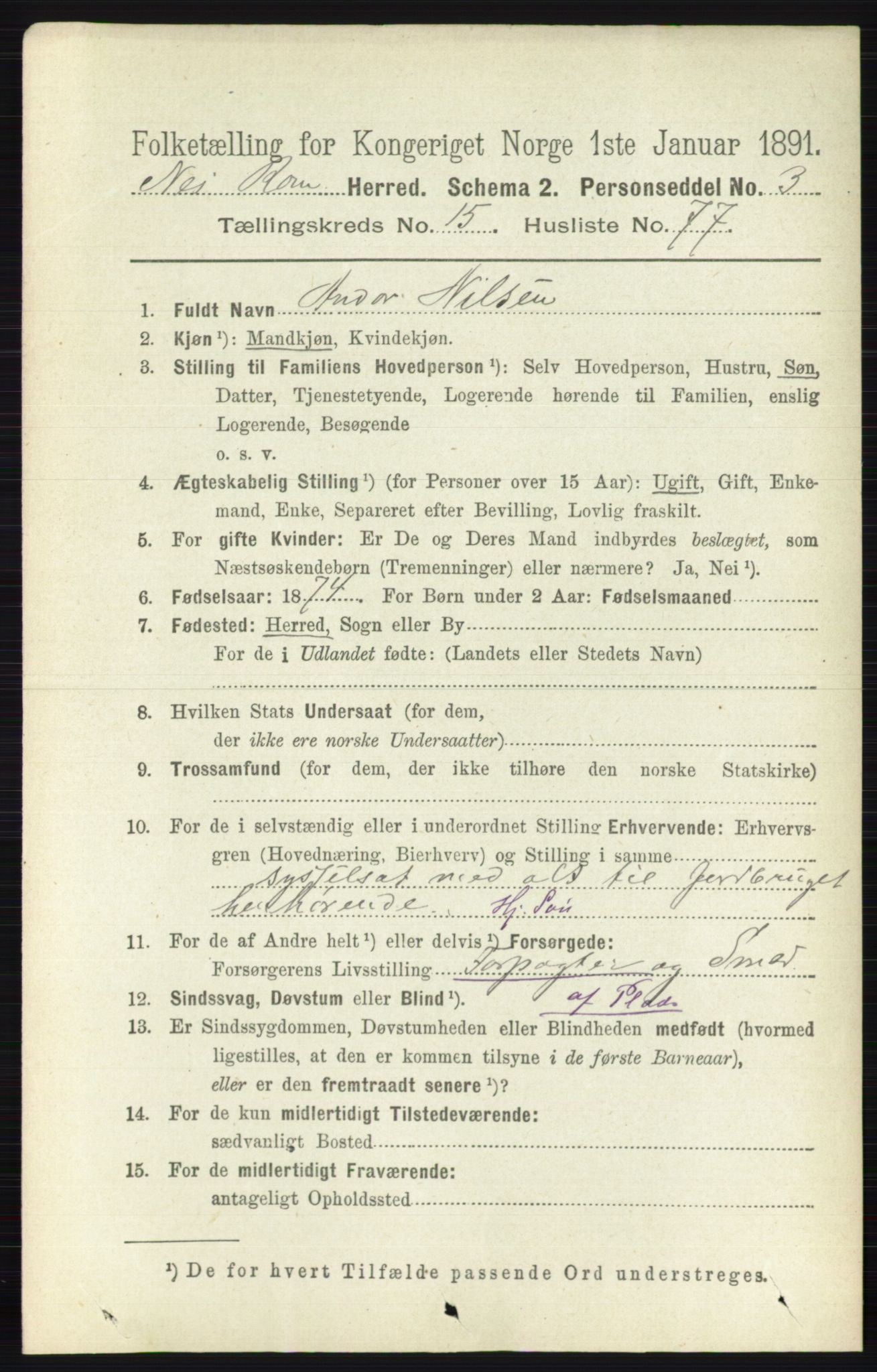 RA, 1891 census for 0236 Nes, 1891, p. 9495