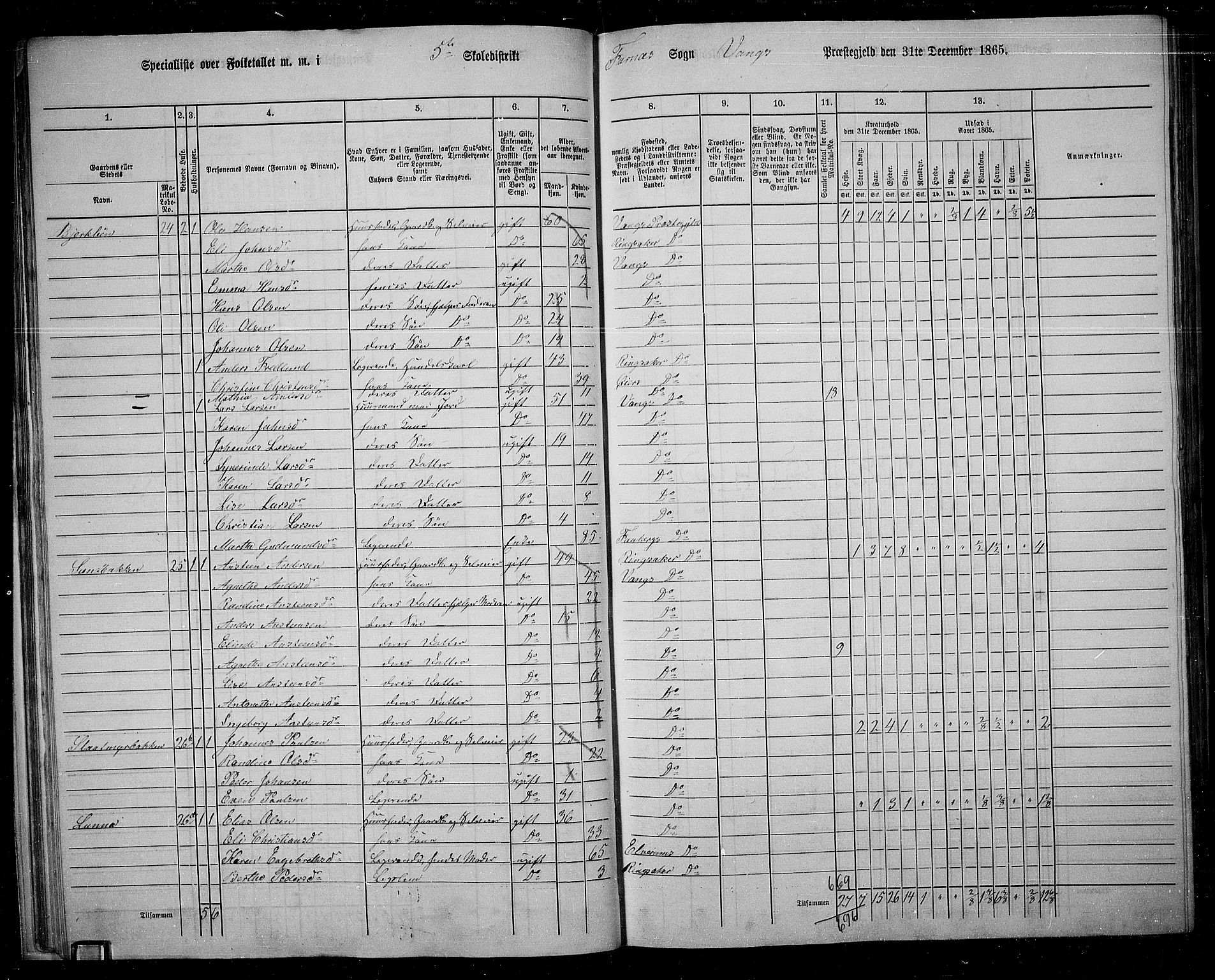 RA, 1865 census for Vang/Vang og Furnes, 1865, p. 37