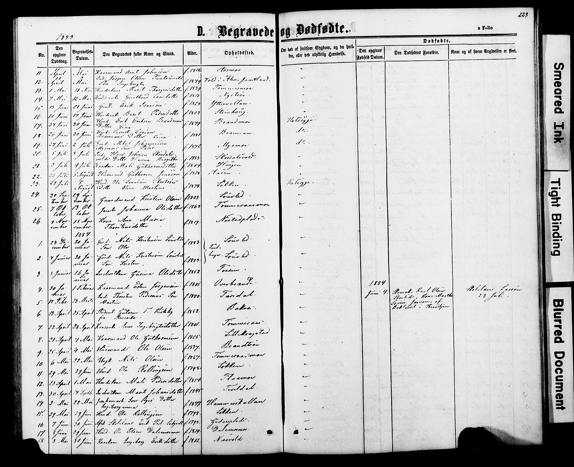 Ministerialprotokoller, klokkerbøker og fødselsregistre - Nord-Trøndelag, SAT/A-1458/706/L0049: Parish register (copy) no. 706C01, 1864-1895, p. 223