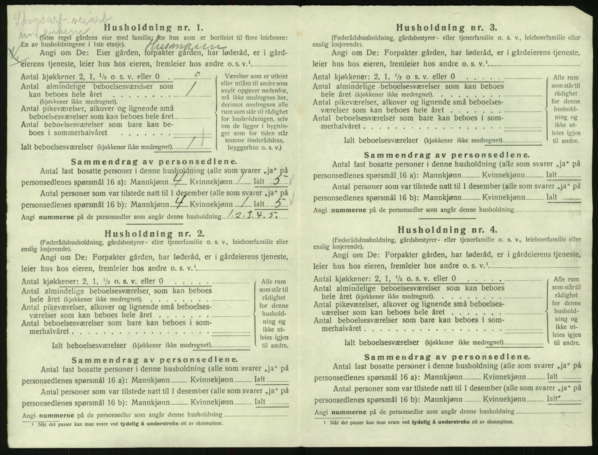 SAK, 1920 census for Valle, 1920, p. 436