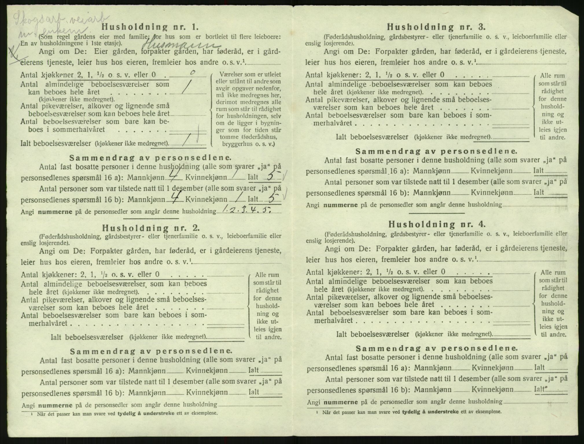SAK, 1920 census for Valle, 1920, p. 436
