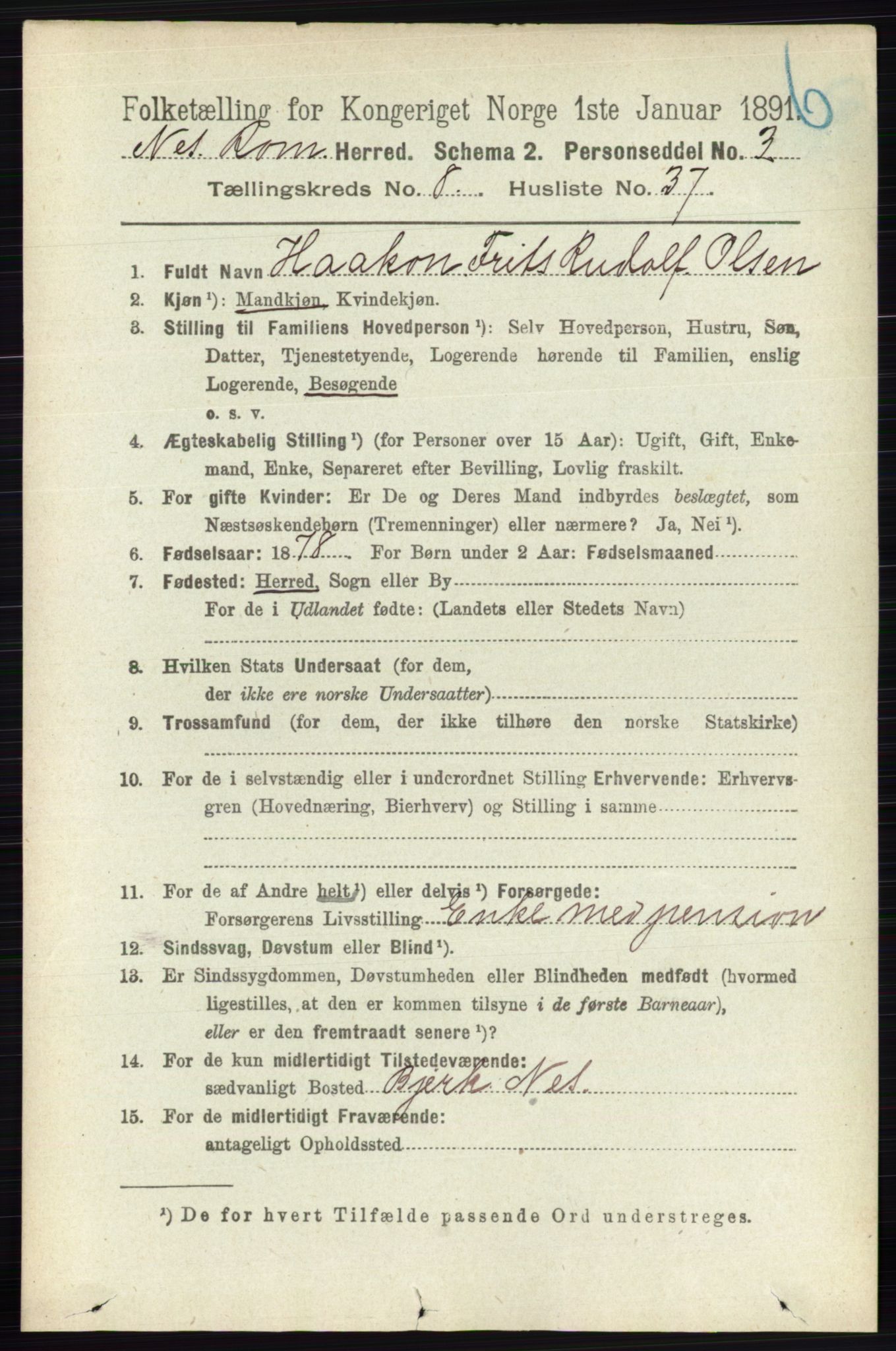 RA, 1891 census for 0236 Nes, 1891, p. 4836