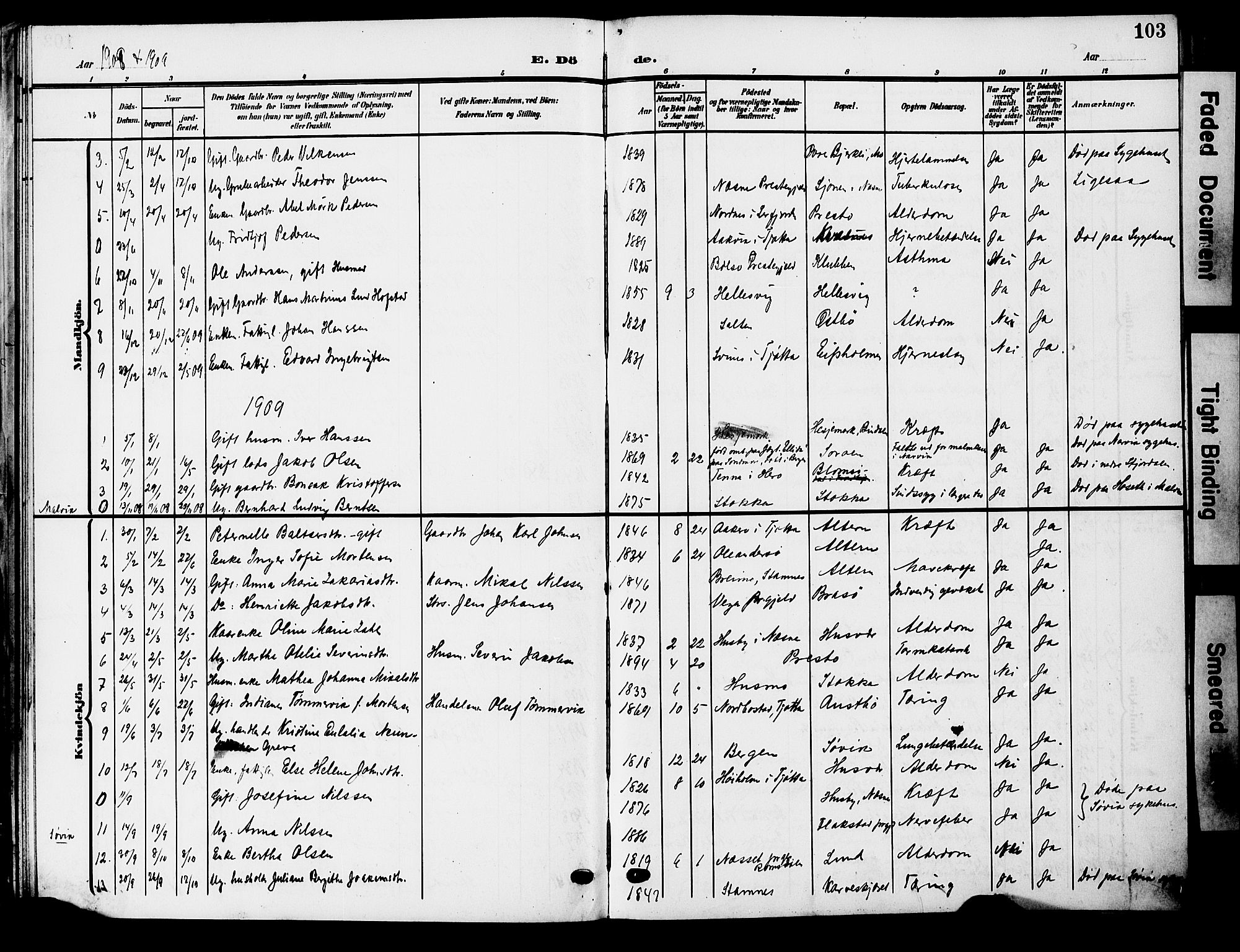 Ministerialprotokoller, klokkerbøker og fødselsregistre - Nordland, AV/SAT-A-1459/830/L0464: Parish register (copy) no. 830C06, 1906-1925, p. 103