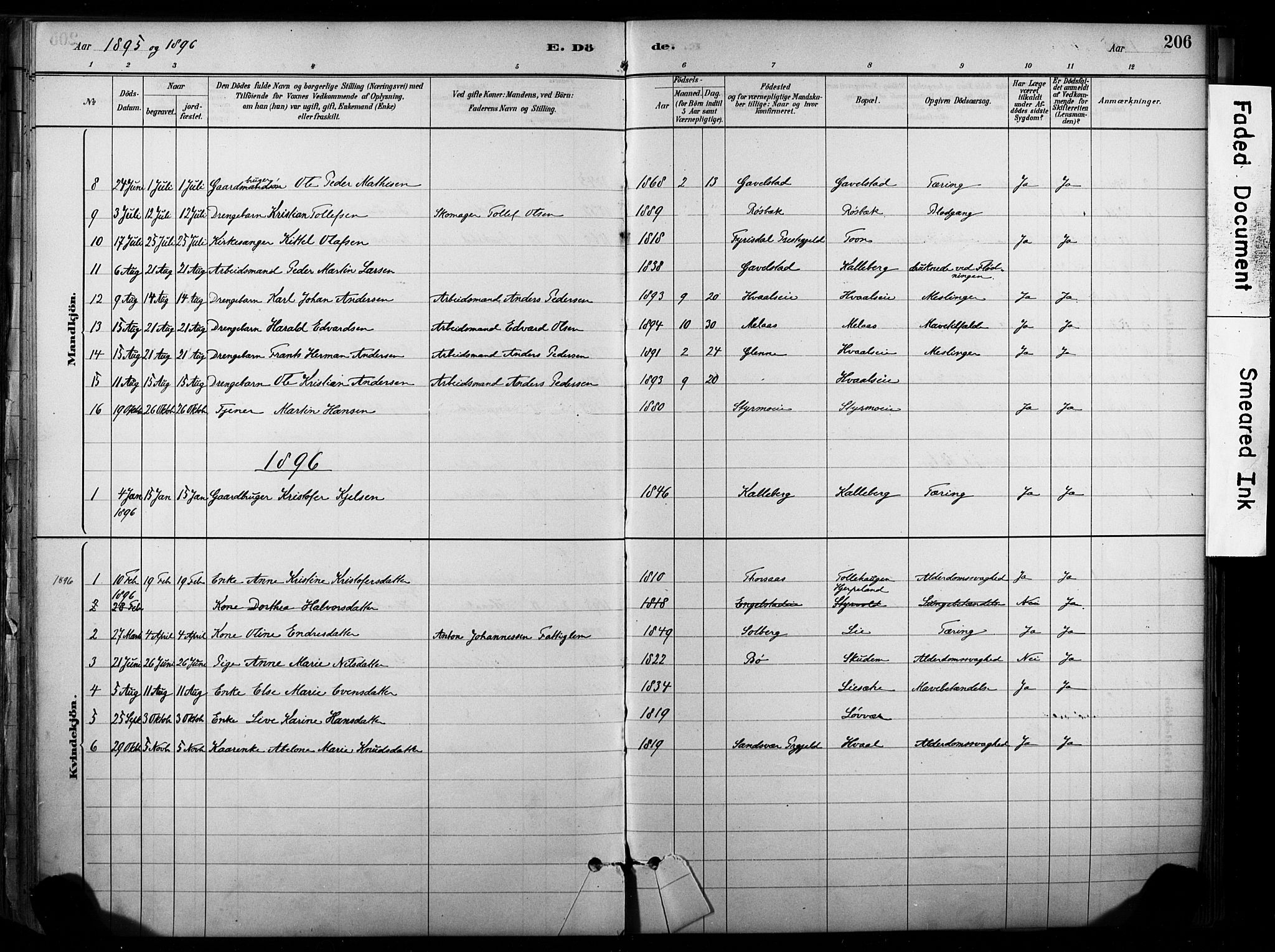 Lardal kirkebøker, SAKO/A-350/F/Fb/L0001: Parish register (official) no. II 1, 1881-1911, p. 206