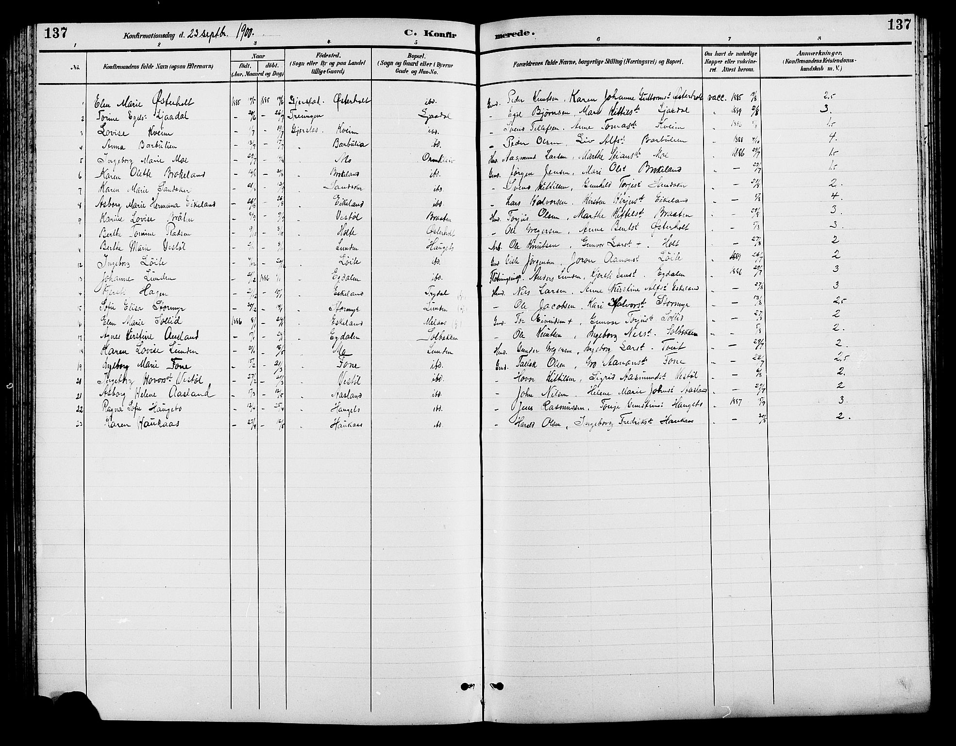 Gjerstad sokneprestkontor, SAK/1111-0014/F/Fb/Fba/L0007: Parish register (copy) no. B 7, 1891-1908, p. 137