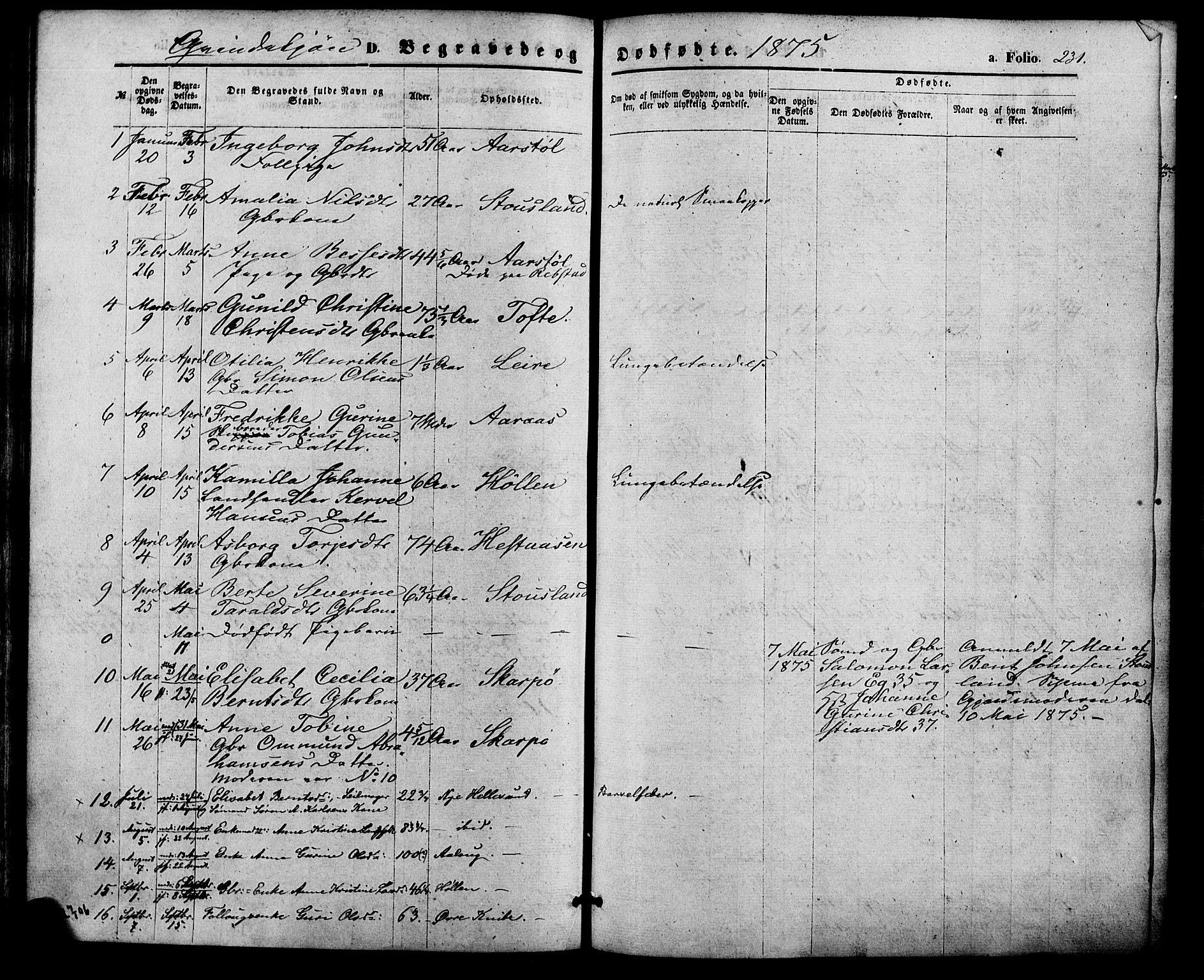 Søgne sokneprestkontor, SAK/1111-0037/F/Fa/Fab/L0011: Parish register (official) no. A 11, 1869-1879, p. 231