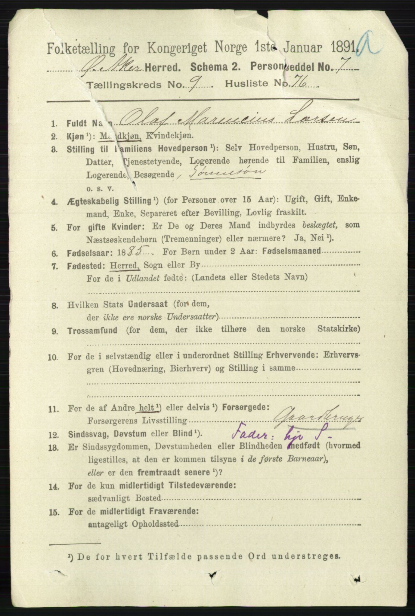 RA, 1891 census for 0218 Aker, 1891, p. 8800