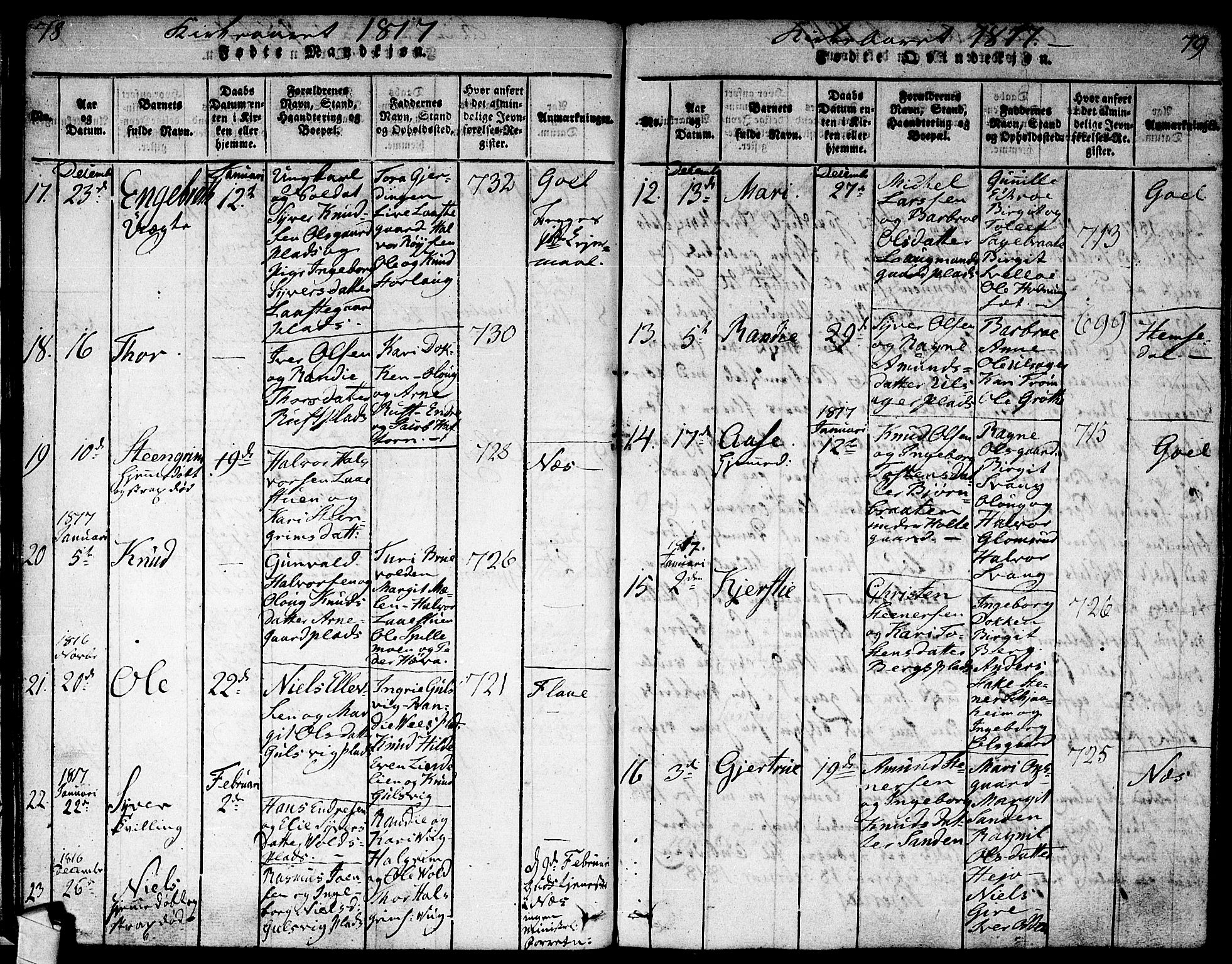 Nes kirkebøker, SAKO/A-236/F/Fa/L0007: Parish register (official) no. 7, 1815-1823, p. 78-79