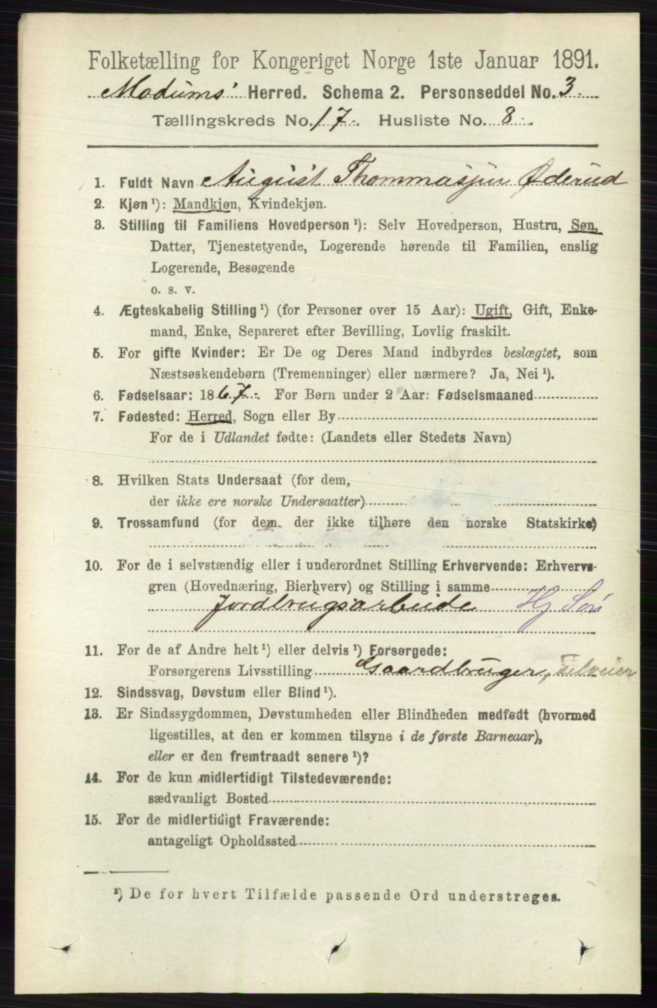 RA, 1891 census for 0623 Modum, 1891, p. 6679