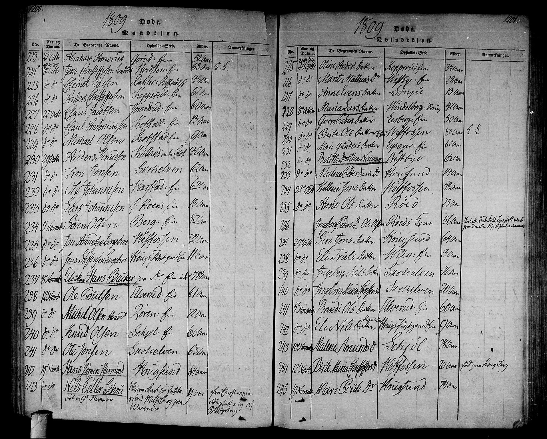 Eiker kirkebøker, AV/SAKO-A-4/F/Fa/L0010: Parish register (official) no. I 10, 1806-1815, p. 1200-1201